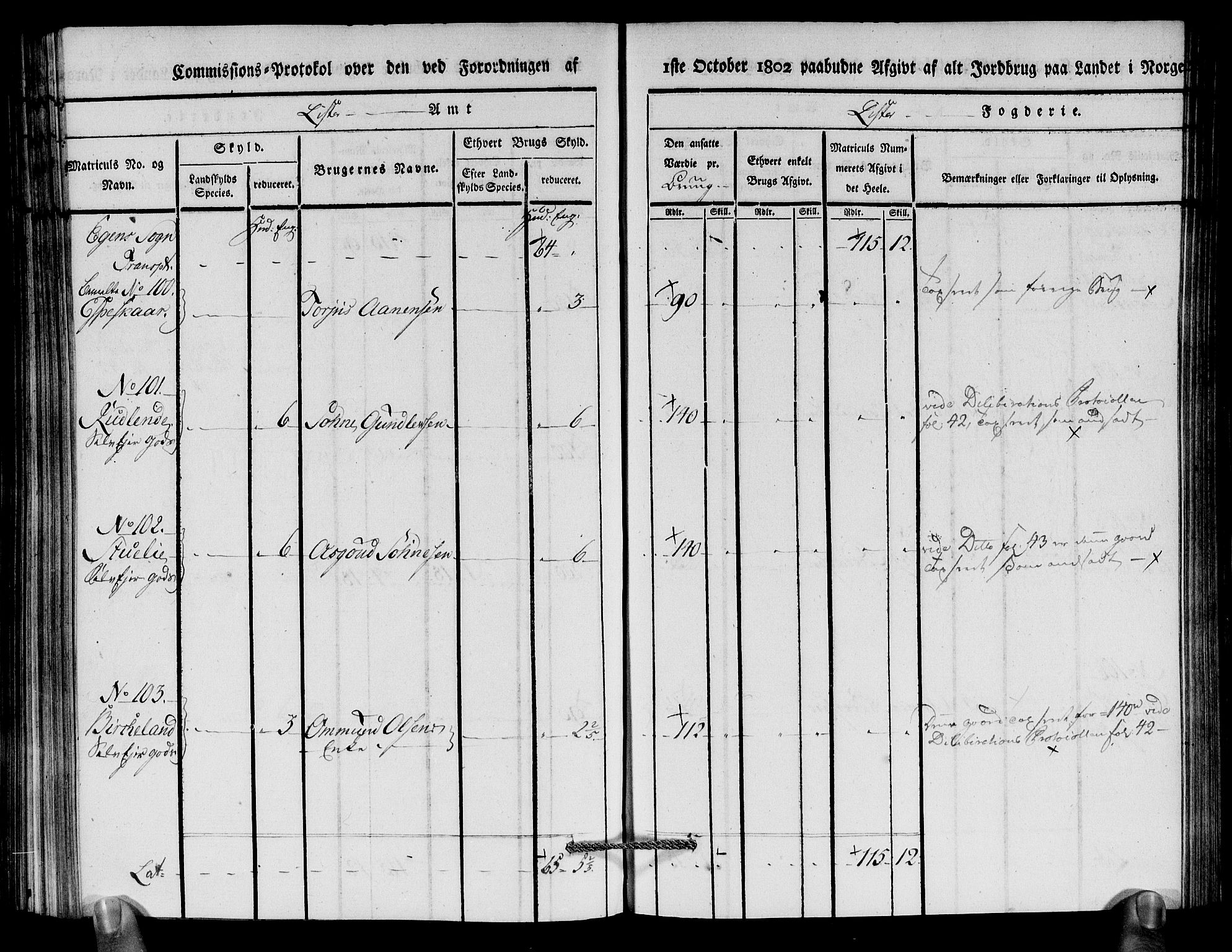 Rentekammeret inntil 1814, Realistisk ordnet avdeling, AV/RA-EA-4070/N/Ne/Nea/L0094: Lista fogderi. Kommisjonsprotokoll "Nr. 3", for Å, Austad, Hægebostad, Eiken, Grindheim og Bjelland sogn, 1803, p. 217