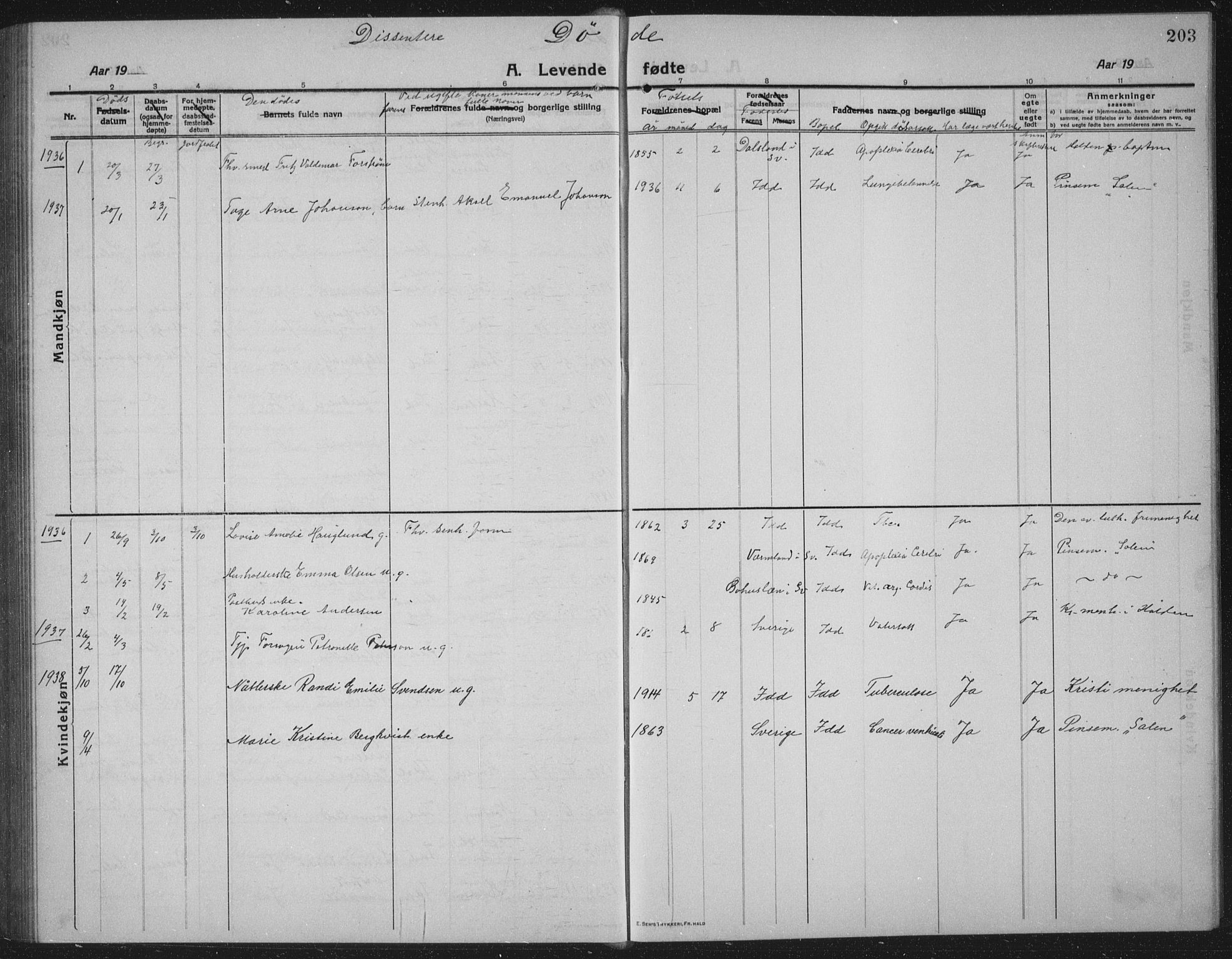 Idd prestekontor Kirkebøker, AV/SAO-A-10911/G/Gb/L0003: Parish register (copy) no. II 3, 1914-1940, p. 203