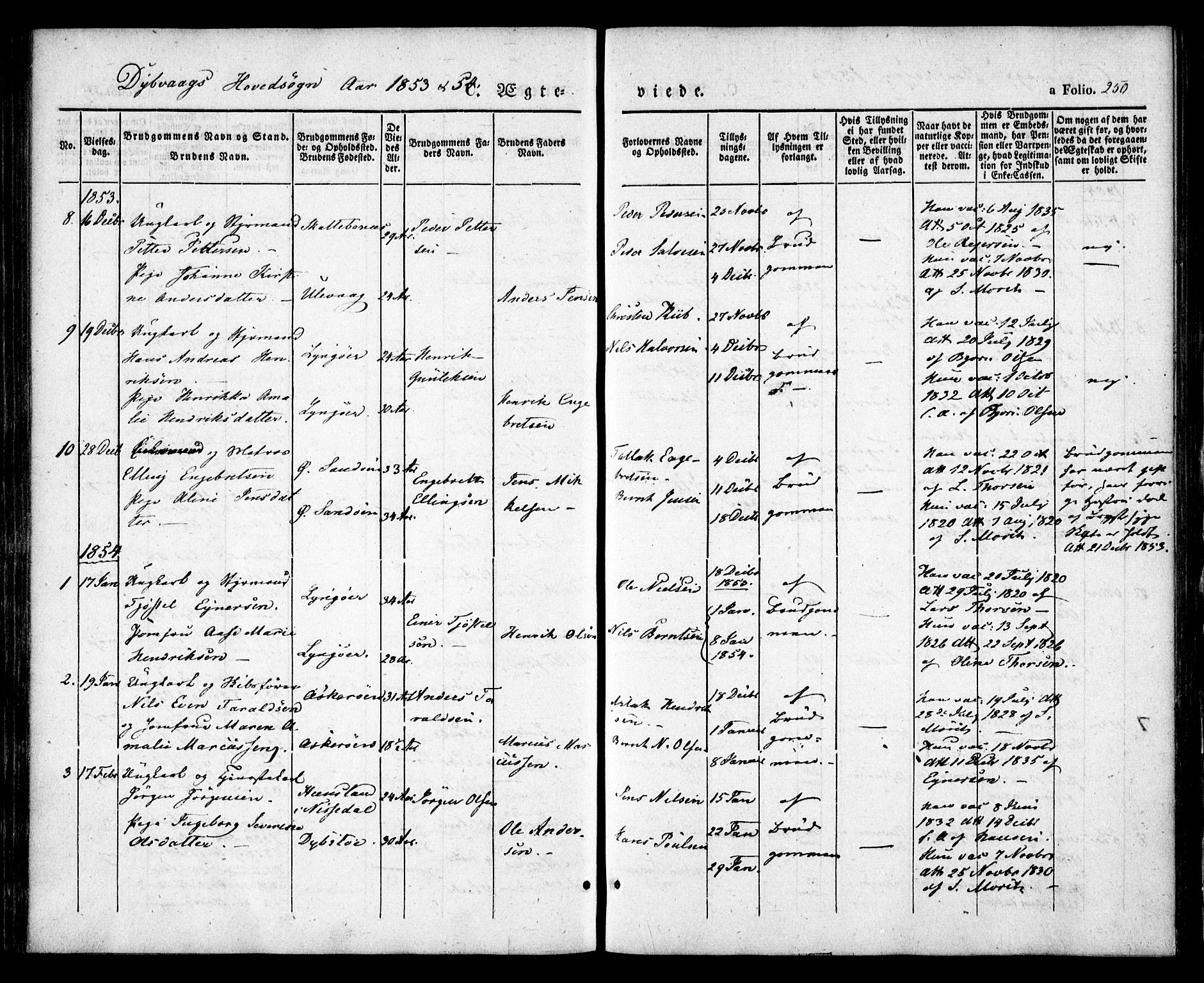 Dypvåg sokneprestkontor, AV/SAK-1111-0007/F/Fa/Faa/L0005: Parish register (official) no. A 5, 1841-1854, p. 250