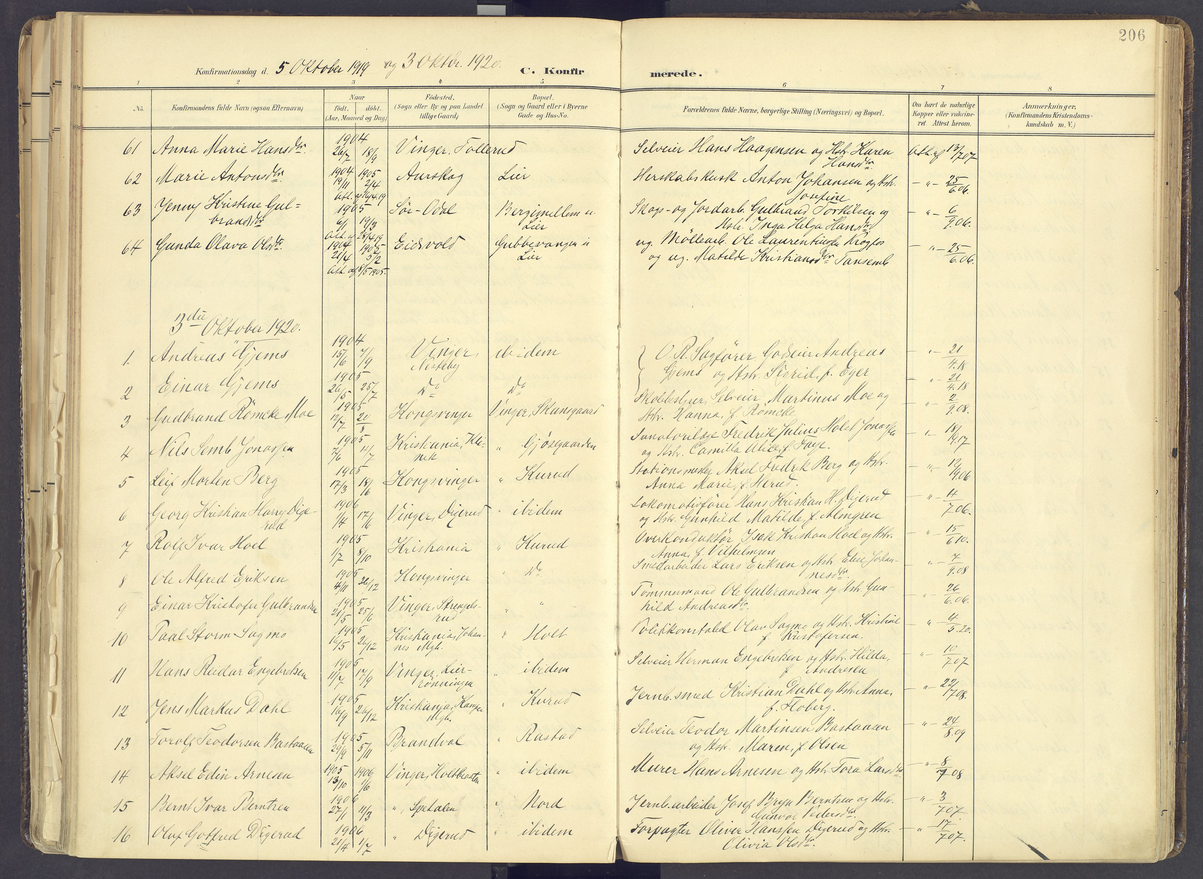 Vinger prestekontor, SAH/PREST-024/H/Ha/Haa/L0017: Parish register (official) no. 17, 1901-1927, p. 206