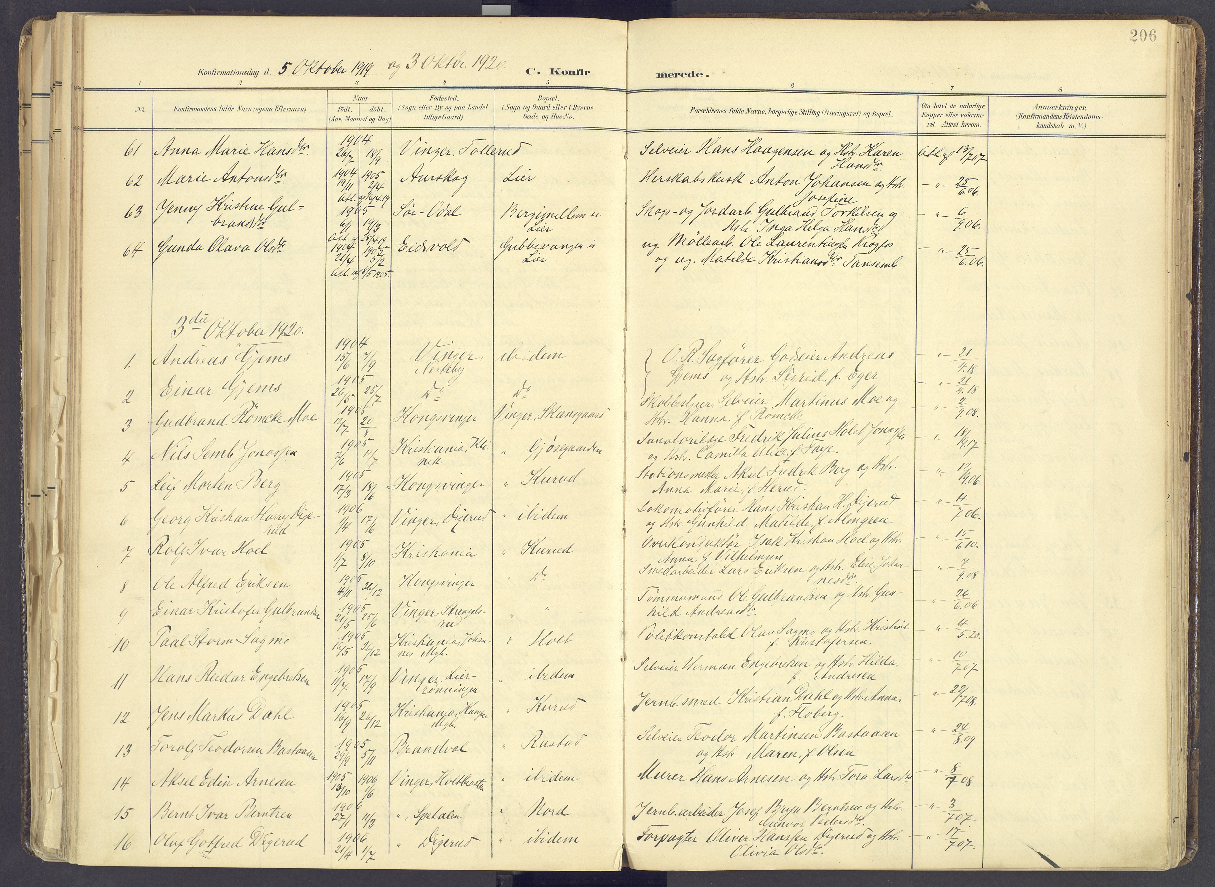 Vinger prestekontor, AV/SAH-PREST-024/H/Ha/Haa/L0017: Parish register (official) no. 17, 1901-1927, p. 206