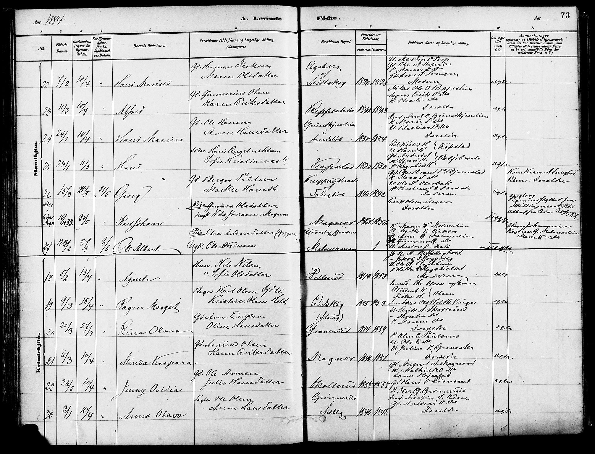 Eidskog prestekontor, SAH/PREST-026/H/Ha/Haa/L0003: Parish register (official) no. 3, 1879-1892, p. 73