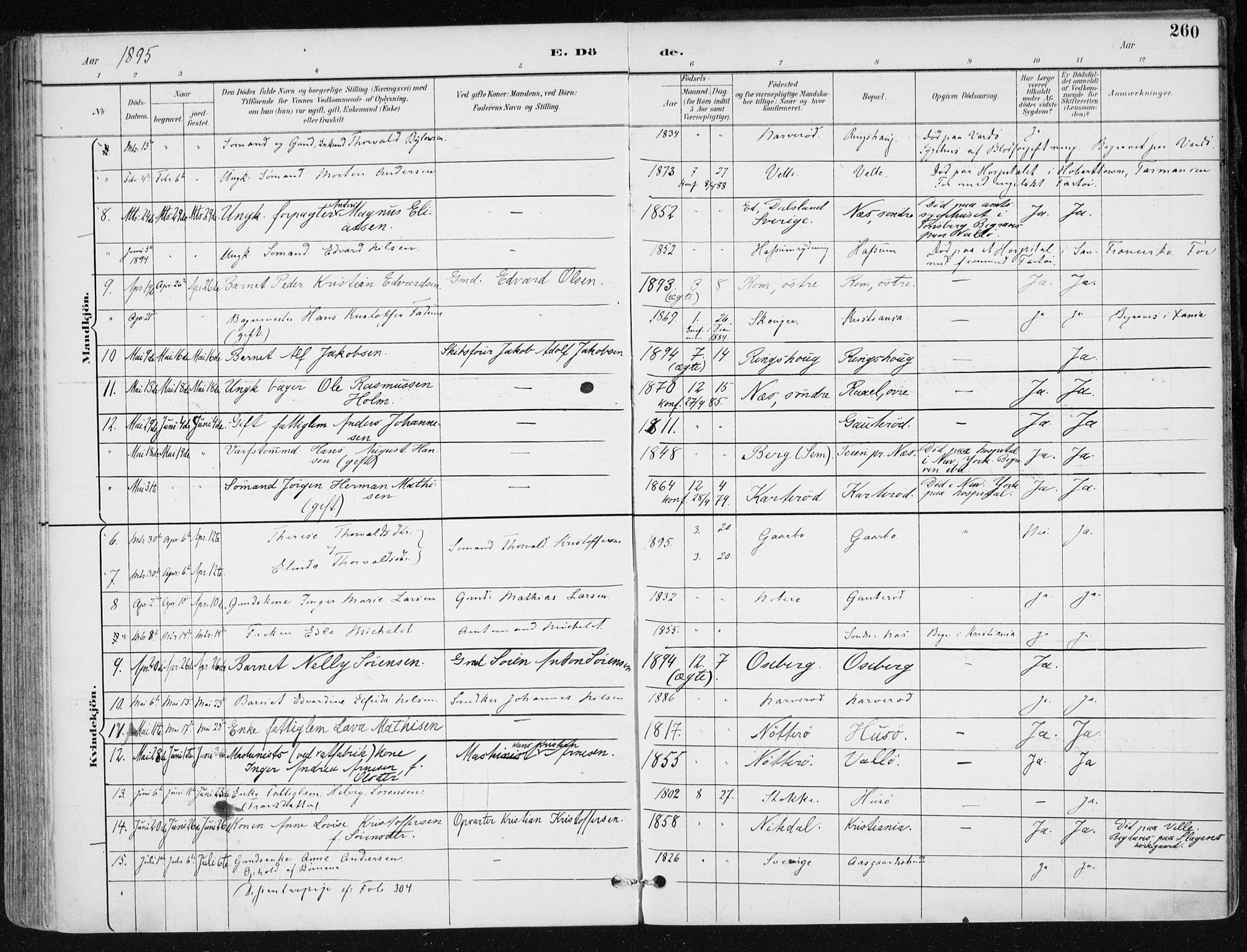 Sem kirkebøker, AV/SAKO-A-5/F/Fb/L0005: Parish register (official) no. II 5, 1892-1904, p. 260