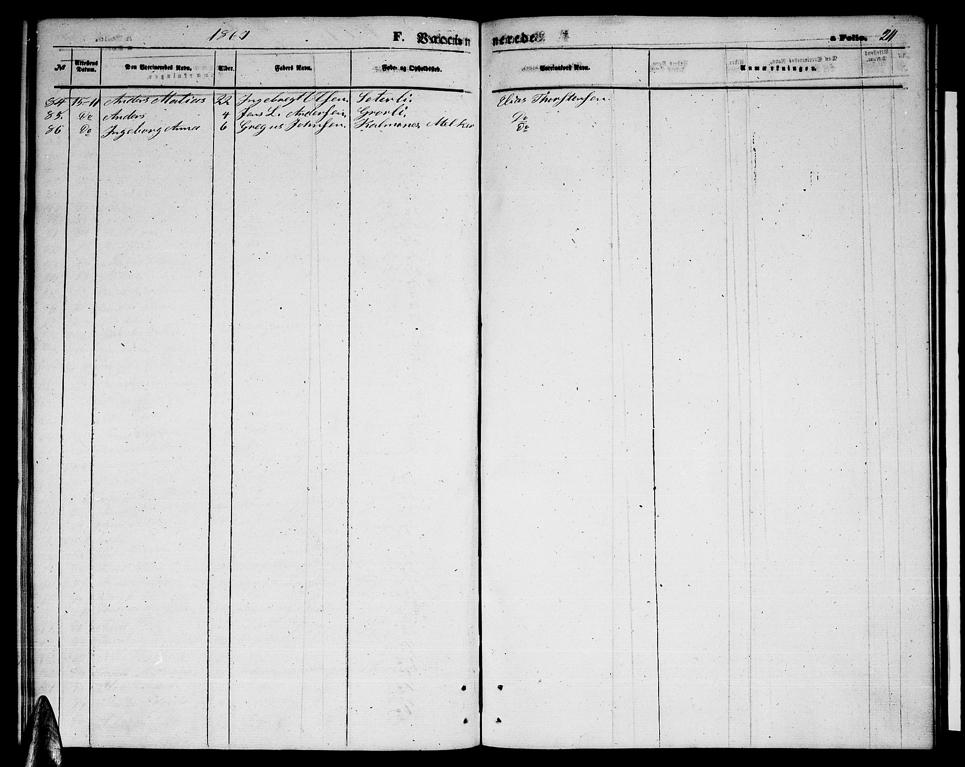 Ministerialprotokoller, klokkerbøker og fødselsregistre - Nordland, AV/SAT-A-1459/823/L0329: Parish register (copy) no. 823C01, 1865-1878, p. 211