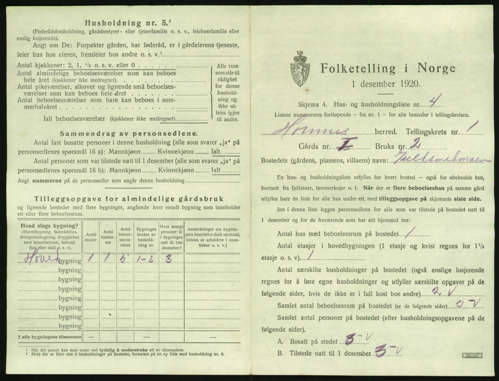 SAK, 1920 census for Hornnes, 1920, p. 63