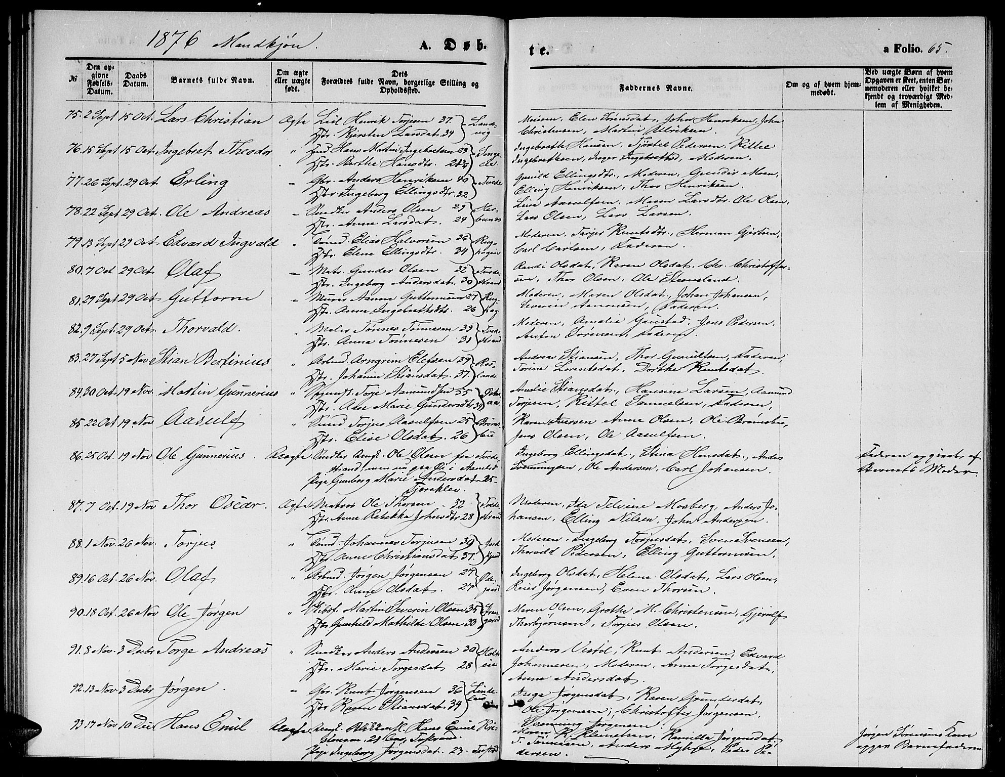 Holt sokneprestkontor, SAK/1111-0021/F/Fb/L0009: Parish register (copy) no. B 9, 1871-1883, p. 65