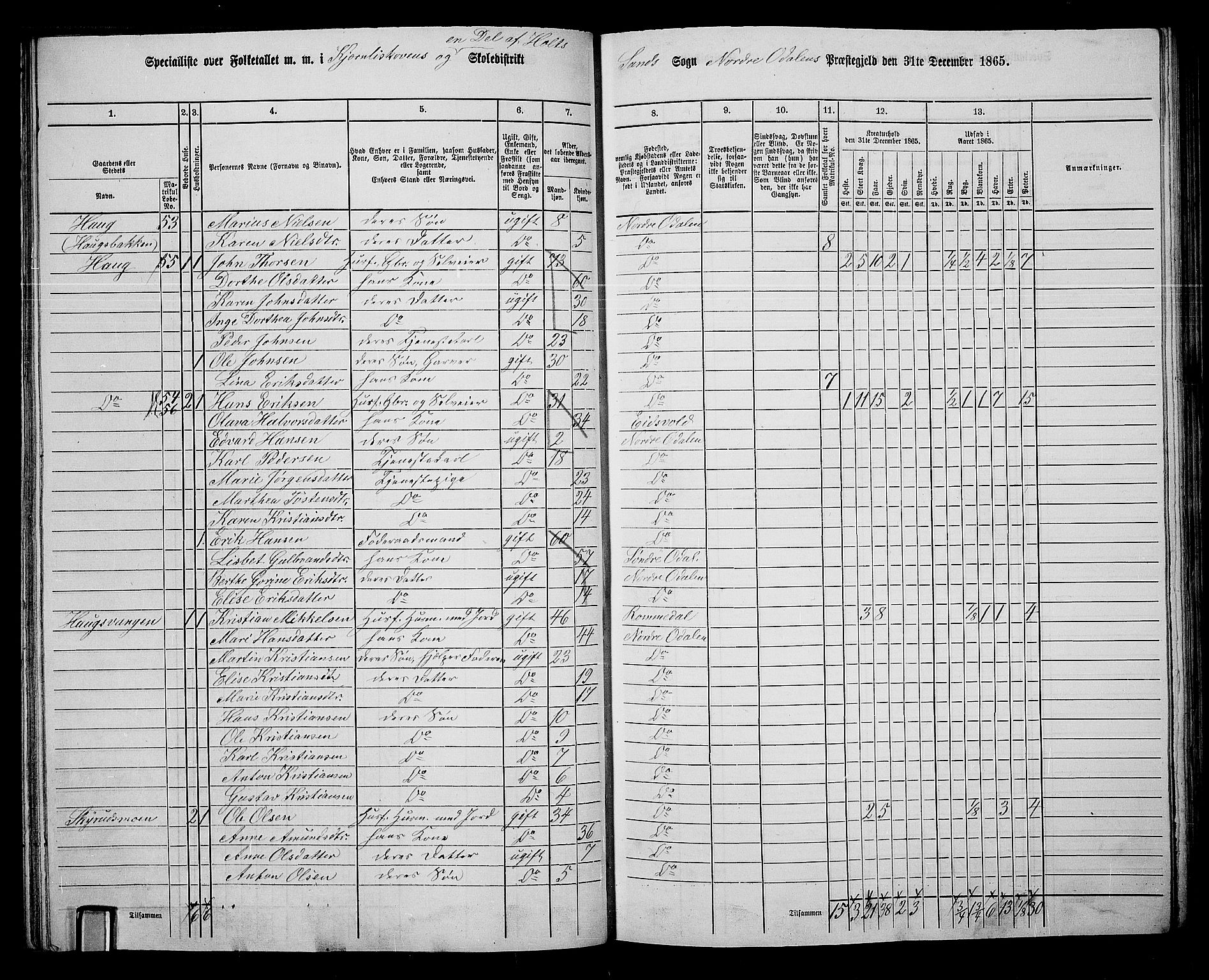 RA, 1865 census for Nord-Odal, 1865, p. 67