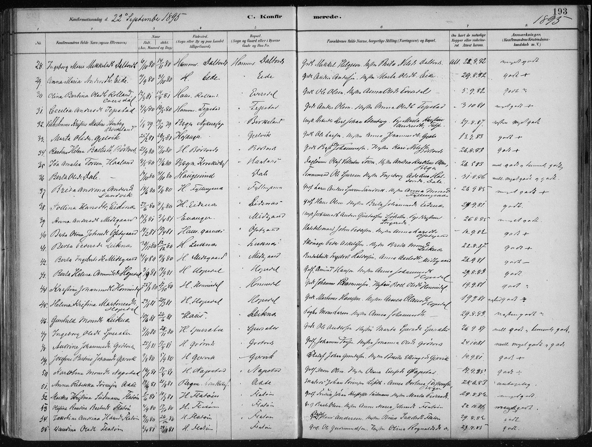 Hamre sokneprestembete, AV/SAB-A-75501/H/Ha/Haa/Haab/L0001: Parish register (official) no. B  1, 1882-1905, p. 193