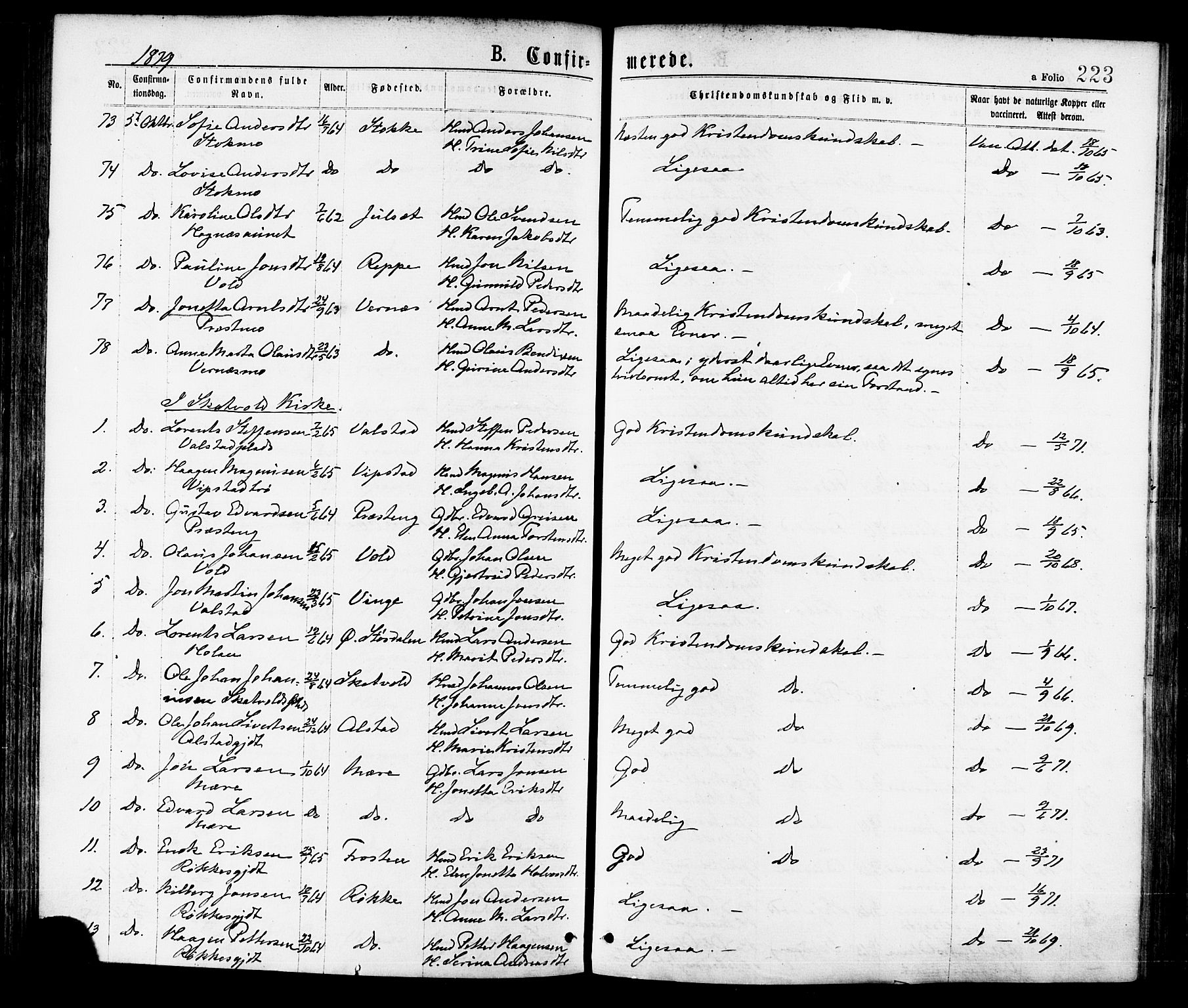 Ministerialprotokoller, klokkerbøker og fødselsregistre - Nord-Trøndelag, AV/SAT-A-1458/709/L0076: Parish register (official) no. 709A16, 1871-1879, p. 223