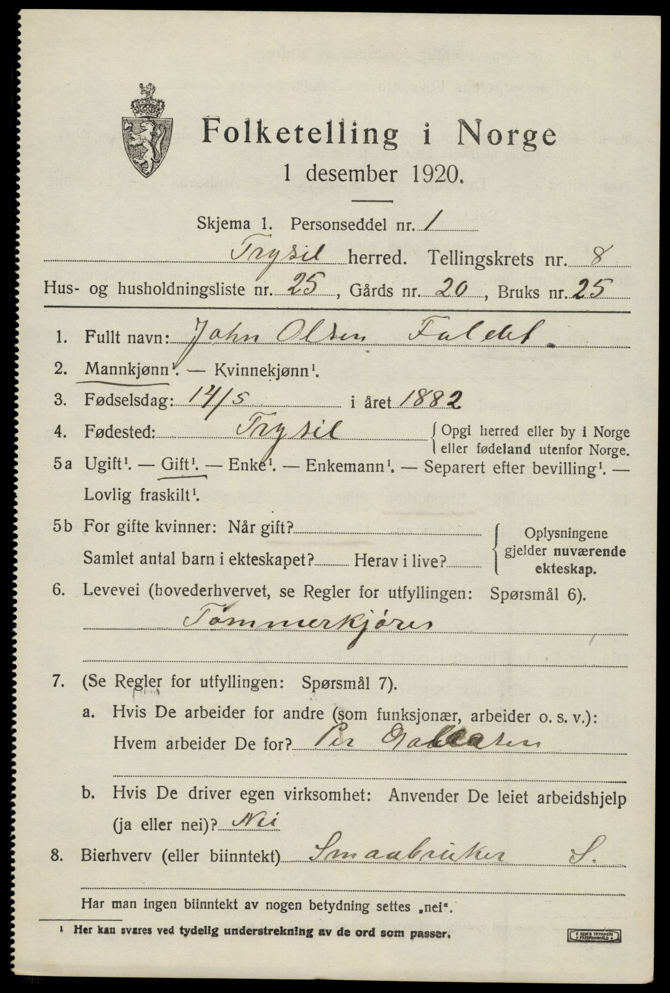 SAH, 1920 census for Trysil, 1920, p. 6529