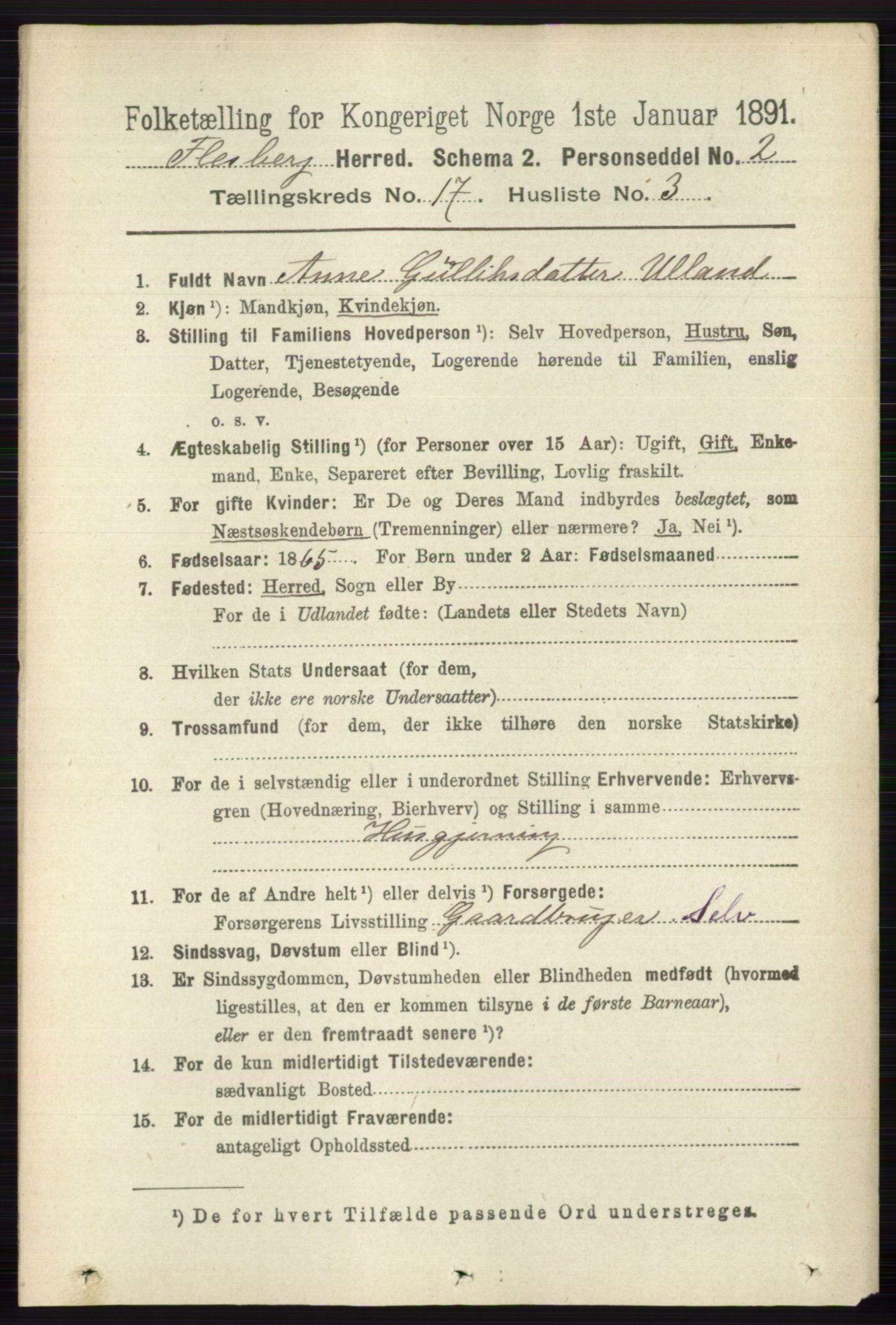 RA, 1891 census for 0631 Flesberg, 1891, p. 2997