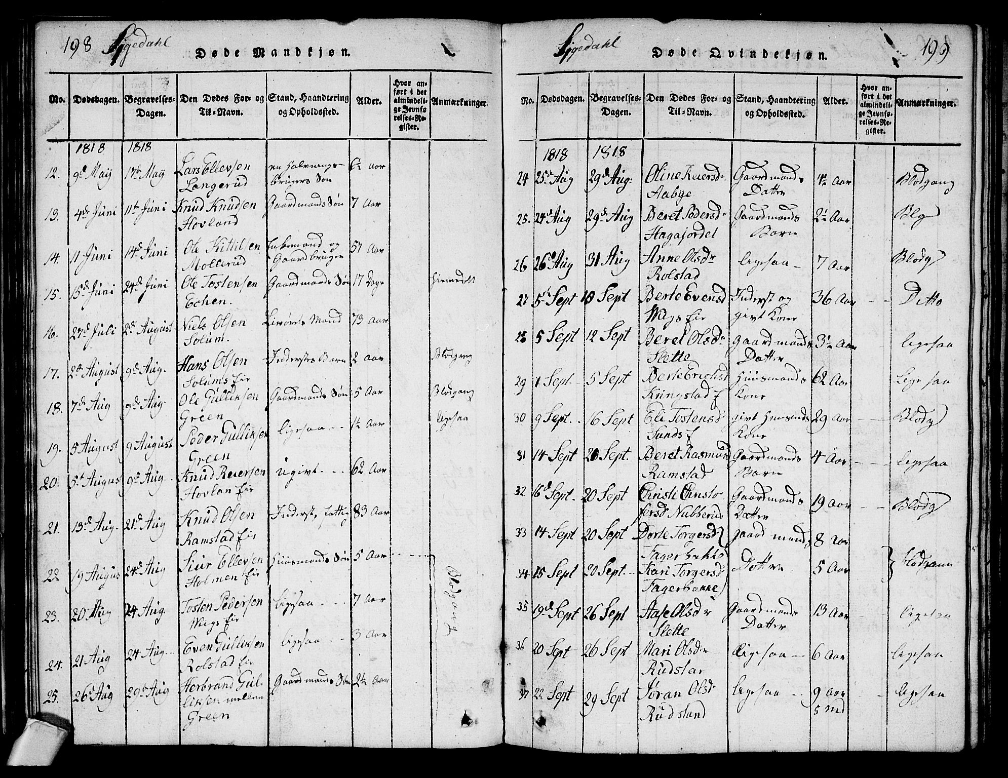 Sigdal kirkebøker, AV/SAKO-A-245/G/Ga/L0001: Parish register (copy) no. I 1 /1, 1816-1835, p. 198-199