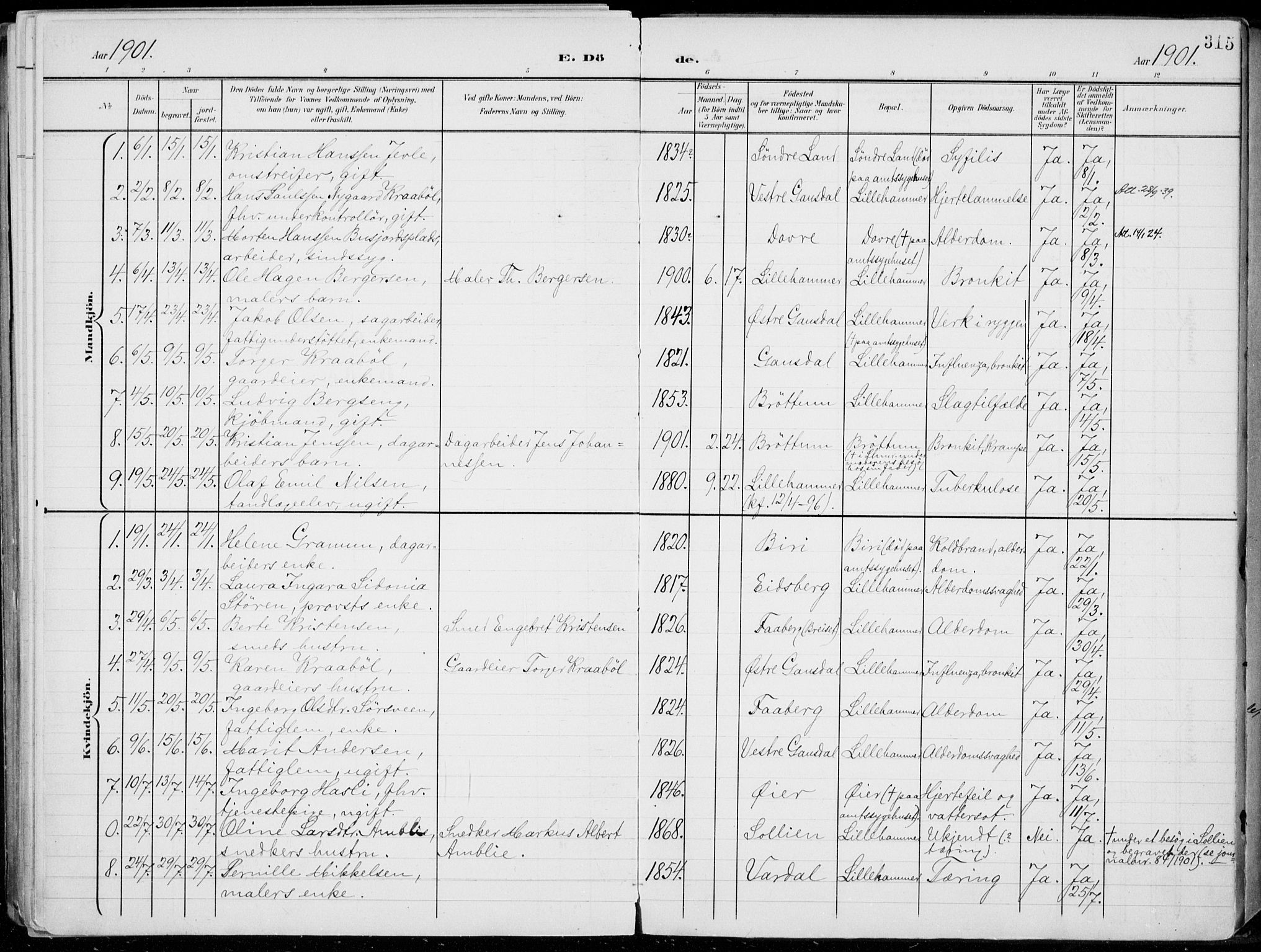 Lillehammer prestekontor, SAH/PREST-088/H/Ha/Haa/L0001: Parish register (official) no. 1, 1901-1916, p. 315