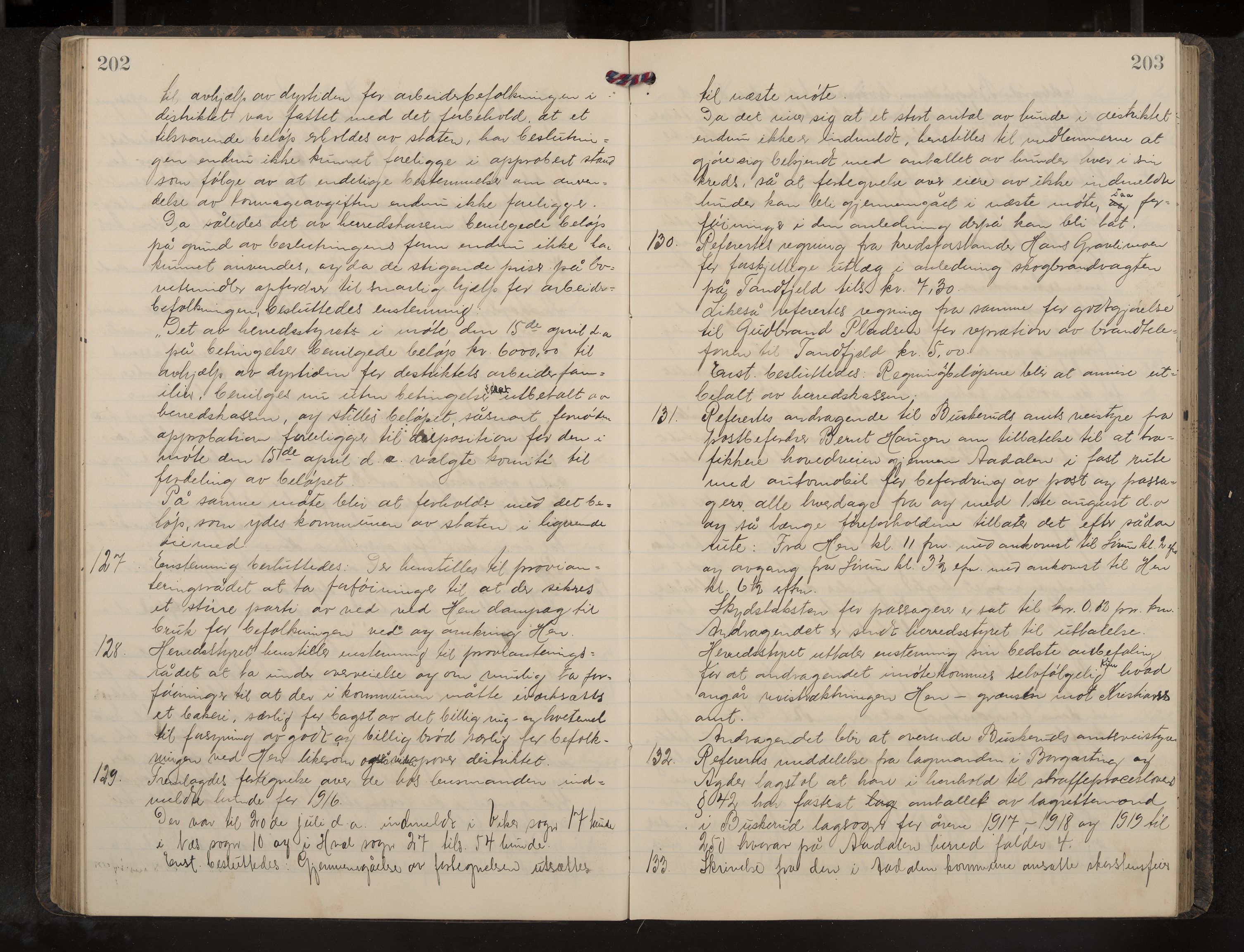 Ådal formannskap og sentraladministrasjon, IKAK/0614021/A/Aa/L0004: Møtebok, 1914-1918, p. 202-203