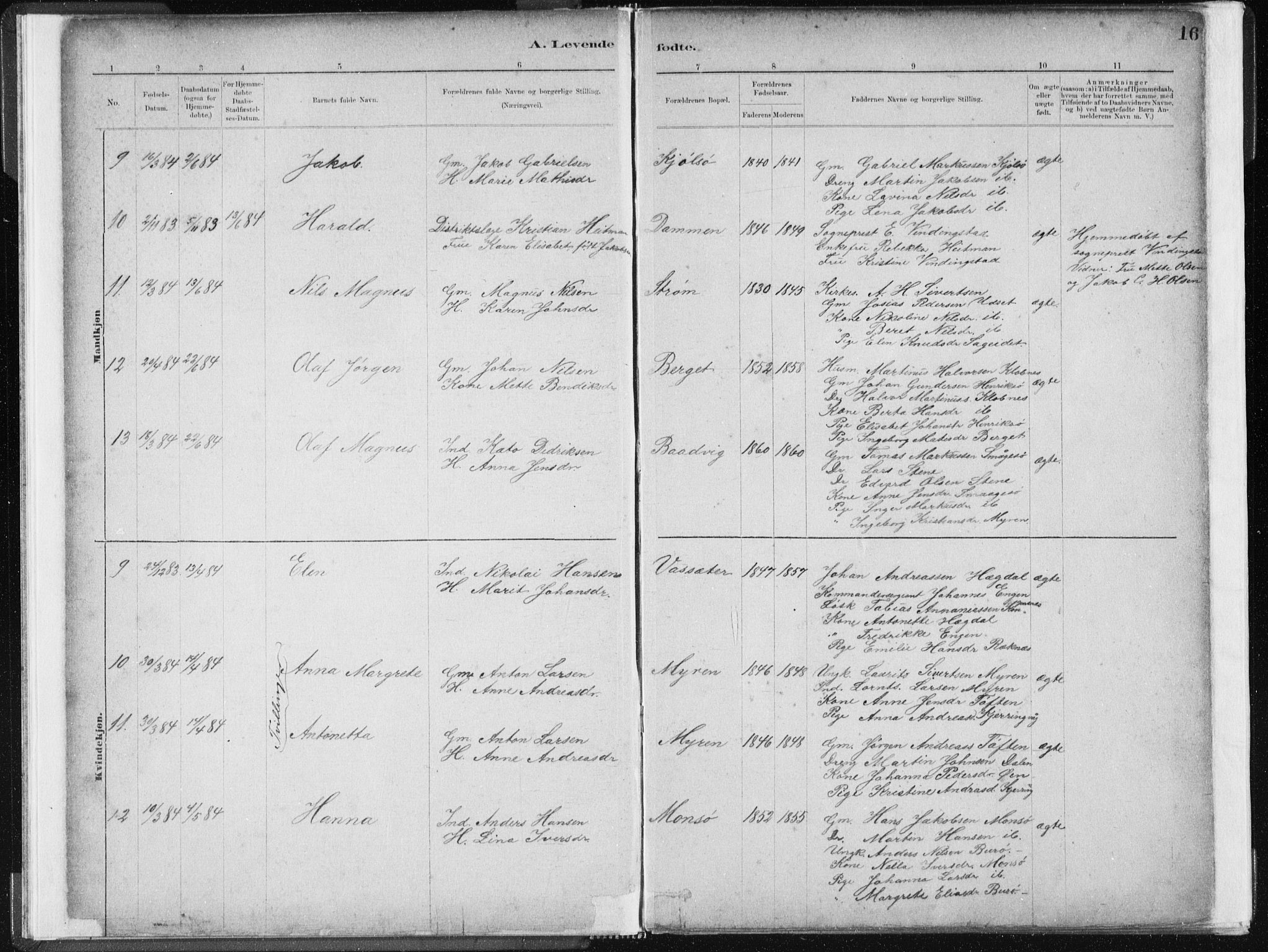 Ministerialprotokoller, klokkerbøker og fødselsregistre - Sør-Trøndelag, AV/SAT-A-1456/634/L0533: Parish register (official) no. 634A09, 1882-1901, p. 16