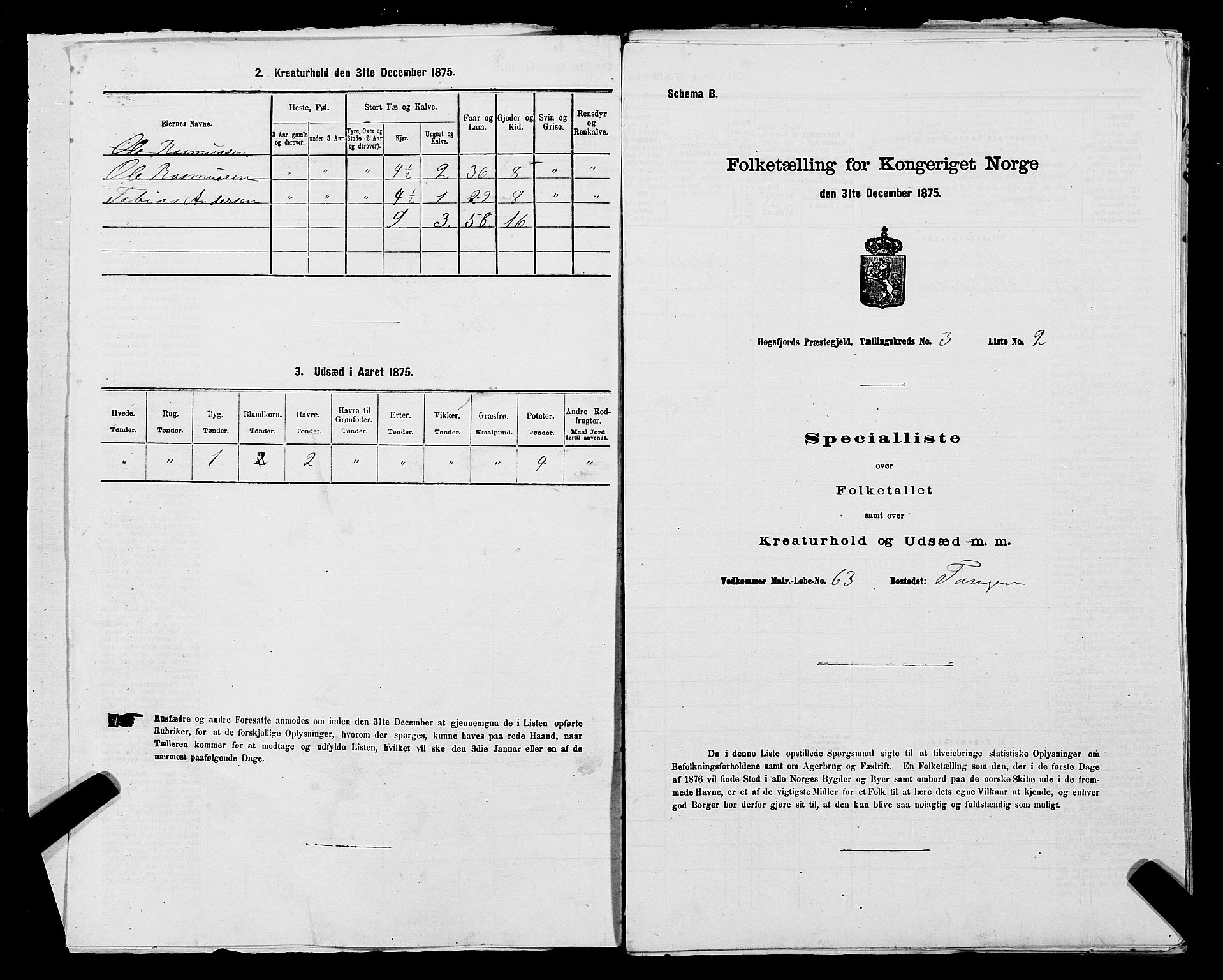 SAST, 1875 census for 1128P Høgsfjord, 1875, p. 242