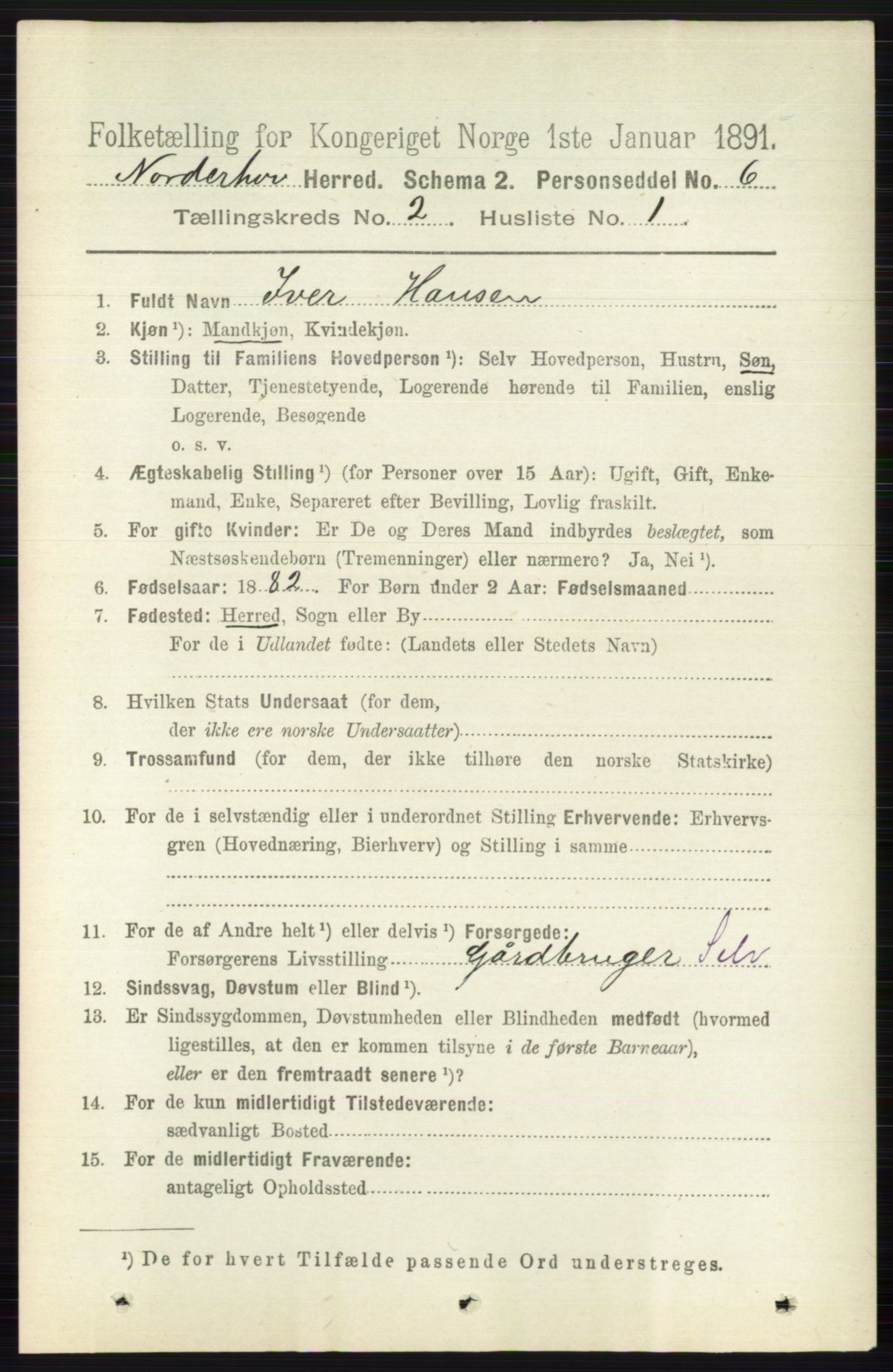 RA, 1891 census for 0613 Norderhov, 1891, p. 700