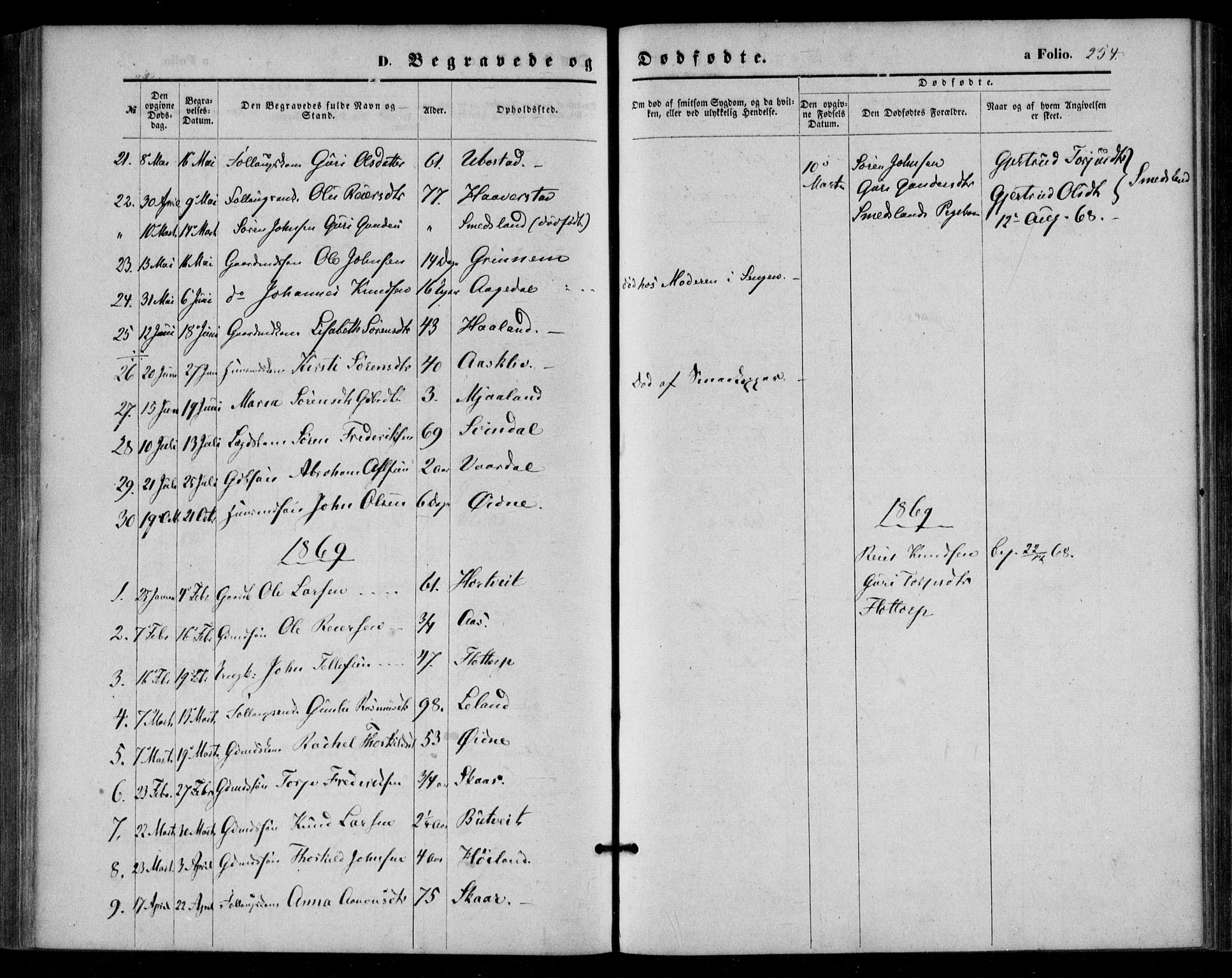 Bjelland sokneprestkontor, SAK/1111-0005/F/Fa/Fac/L0002: Parish register (official) no. A 2, 1866-1887, p. 254