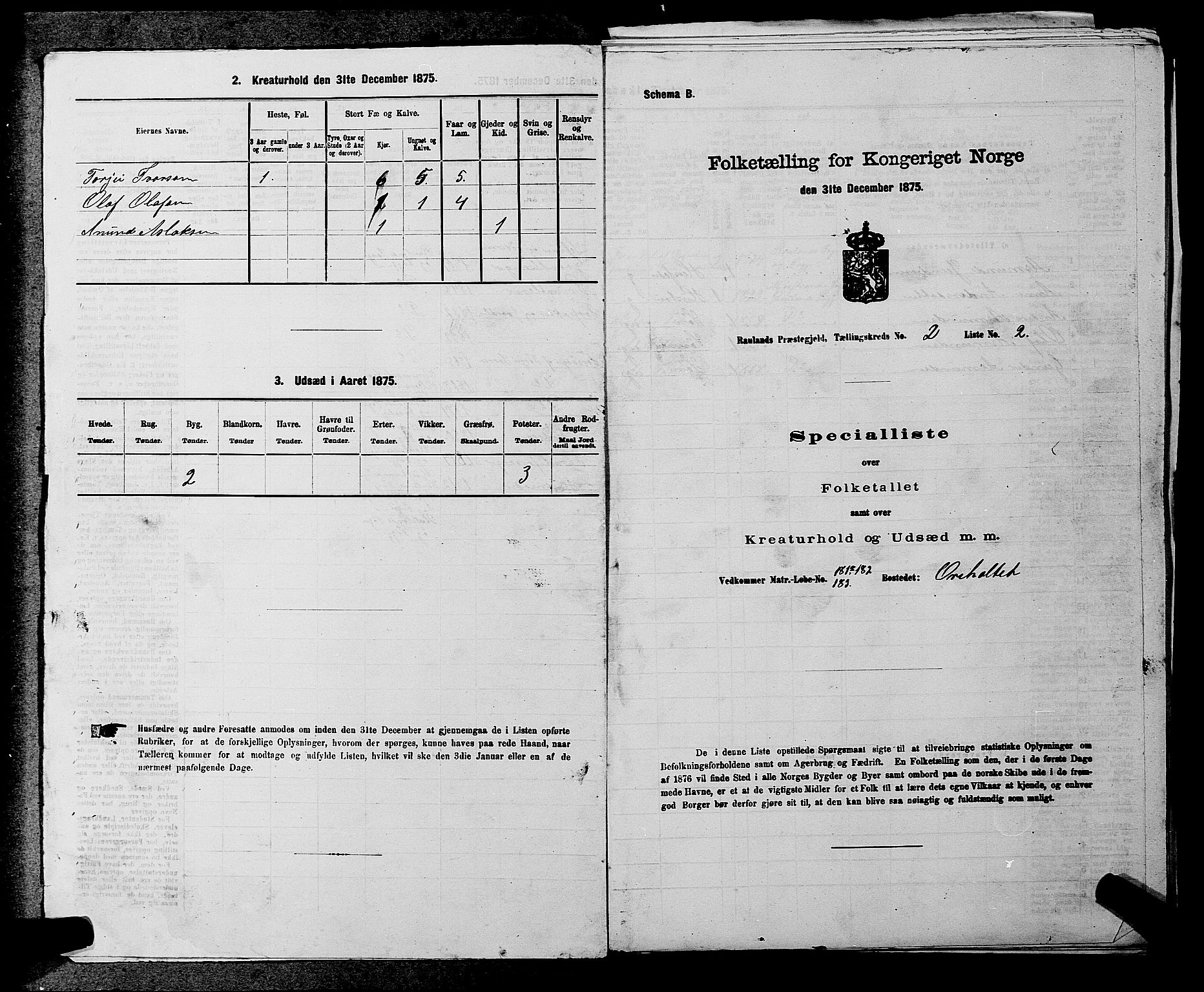 SAKO, 1875 census for 0835P Rauland, 1875, p. 98