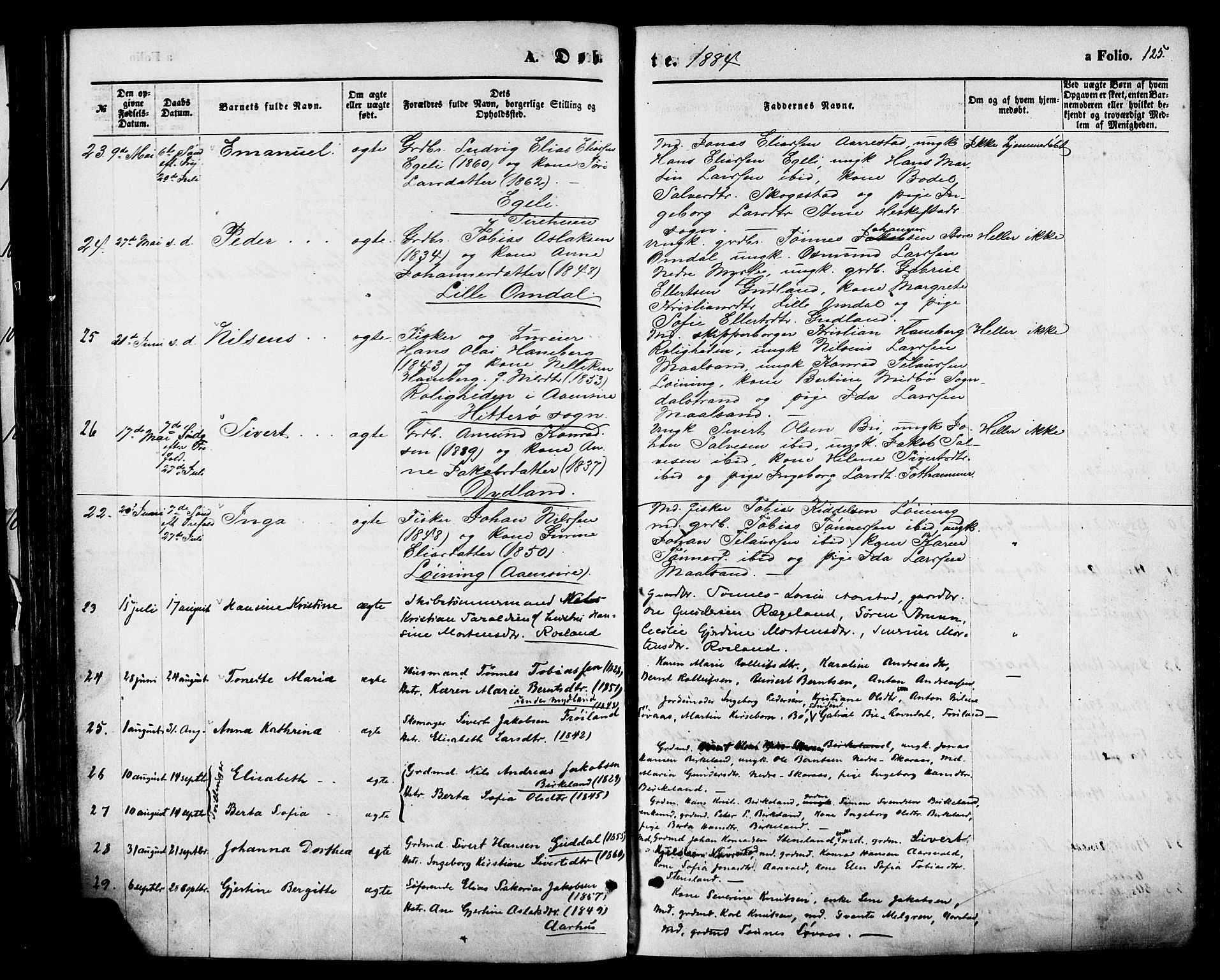 Sokndal sokneprestkontor, AV/SAST-A-101808: Parish register (official) no. A 10, 1874-1886, p. 125