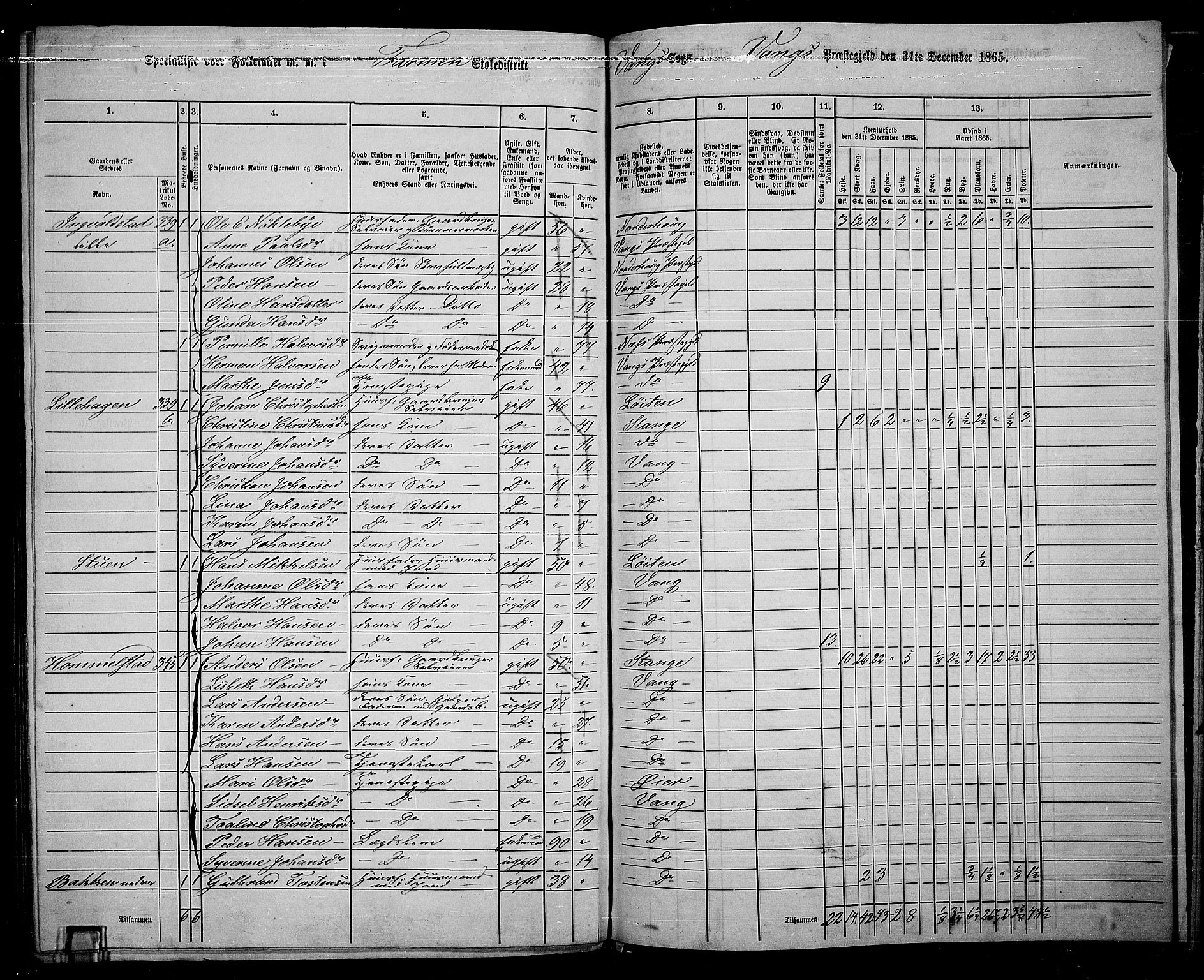 RA, 1865 census for Vang/Vang og Furnes, 1865, p. 308