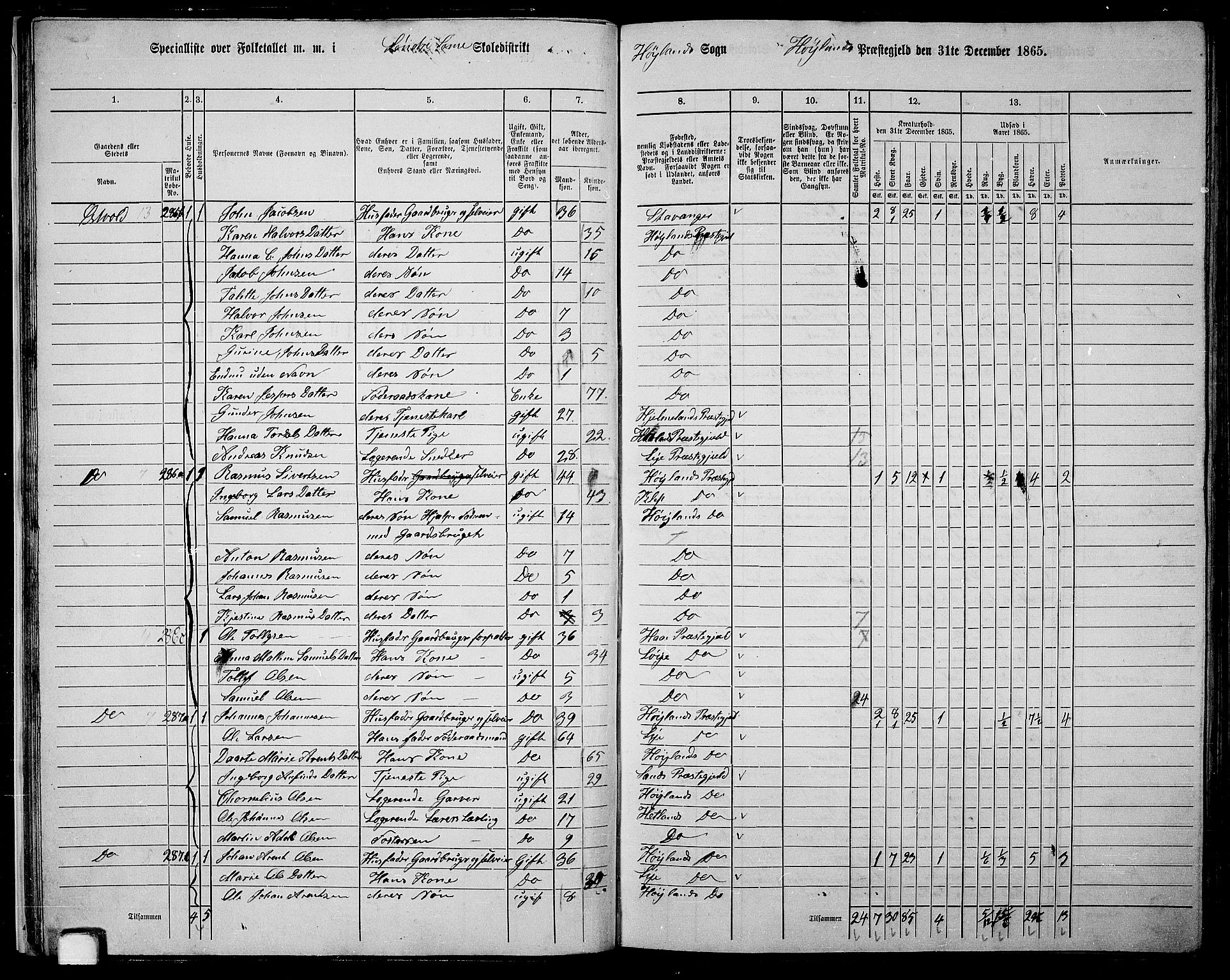 RA, 1865 census for Høyland, 1865, p. 26