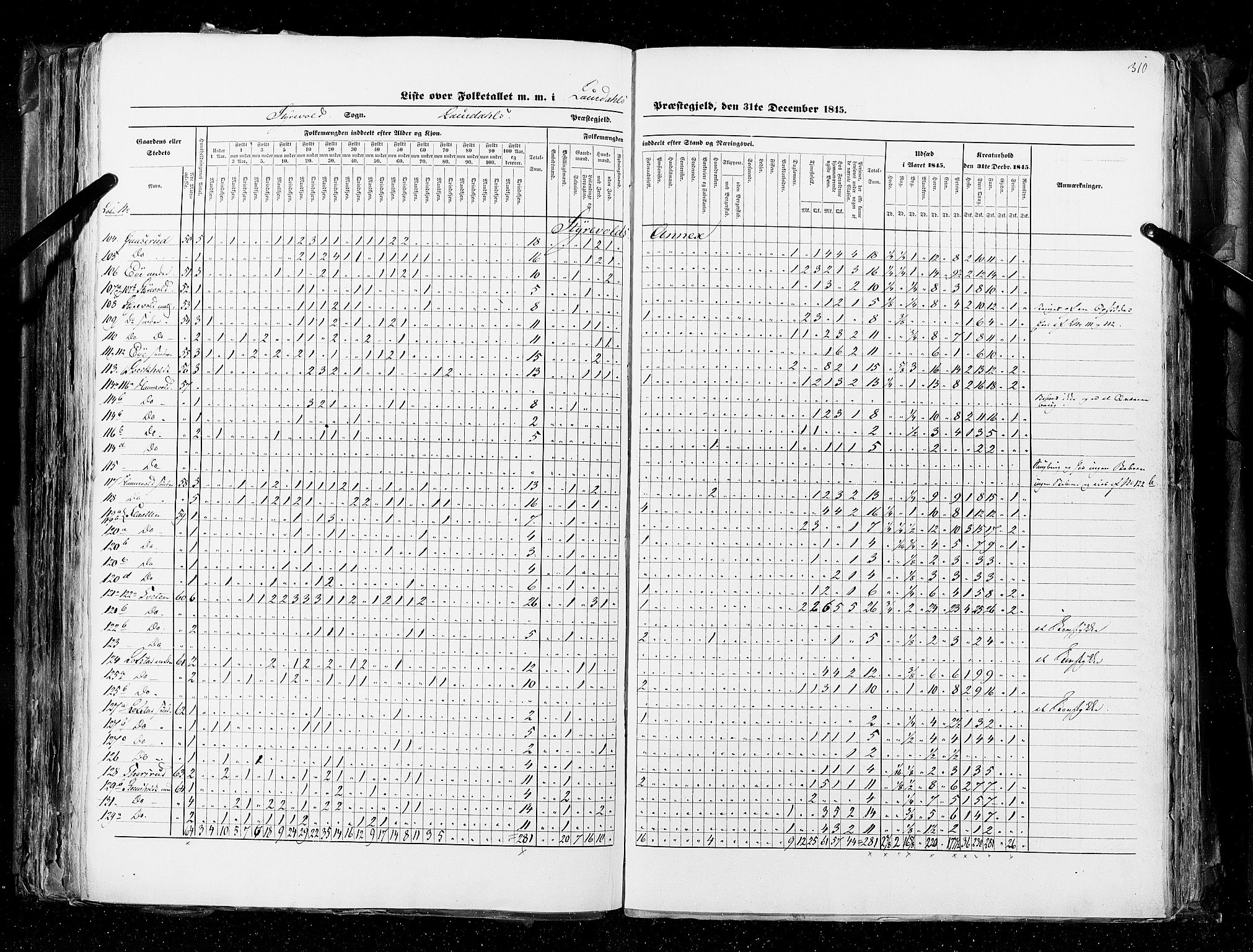 RA, Census 1845, vol. 4: Buskerud amt og Jarlsberg og Larvik amt, 1845, p. 310