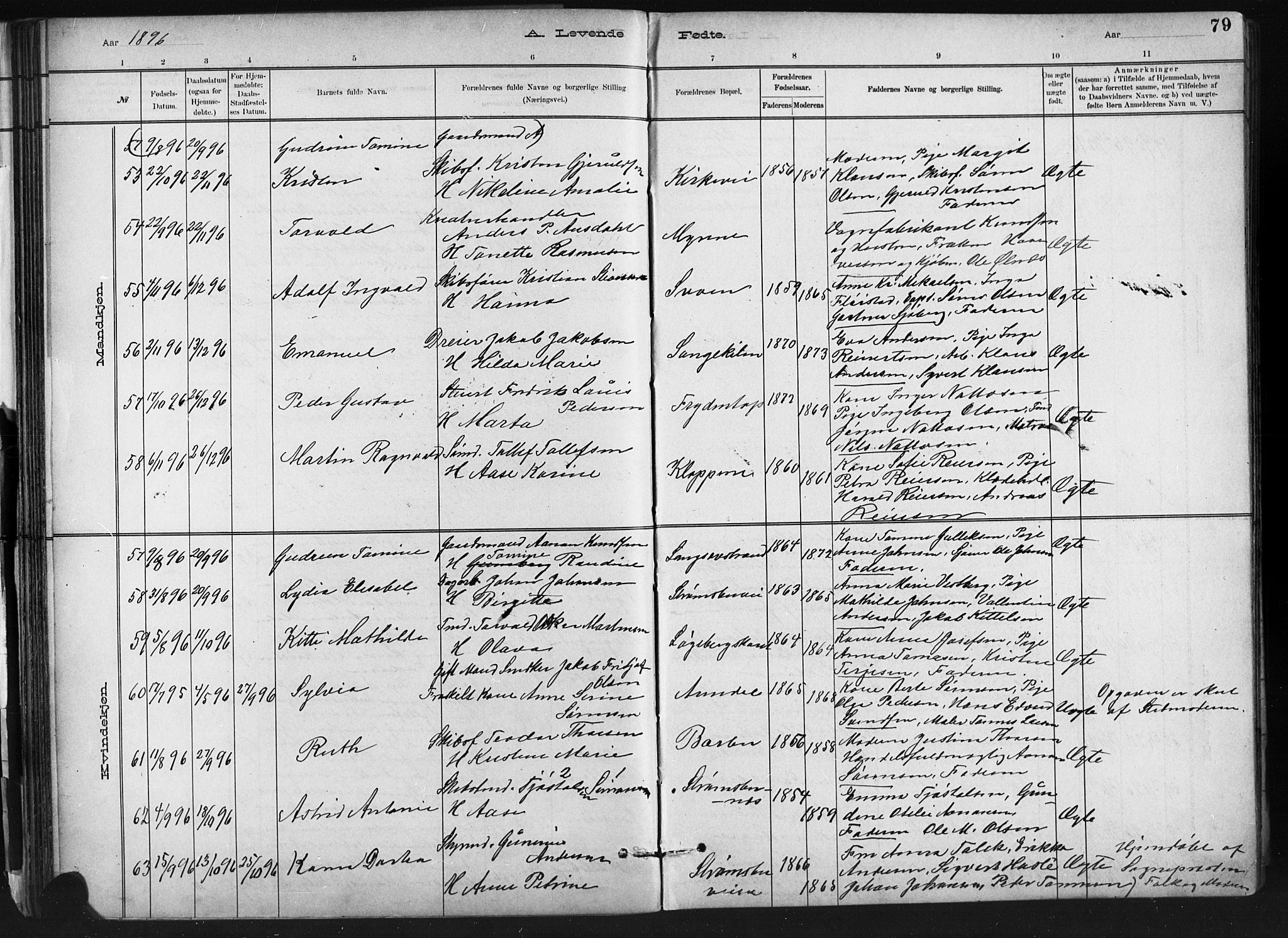 Barbu sokneprestkontor, AV/SAK-1111-0003/F/Fb/L0002: Parish register (copy) no. B 2, 1890-1922, p. 79