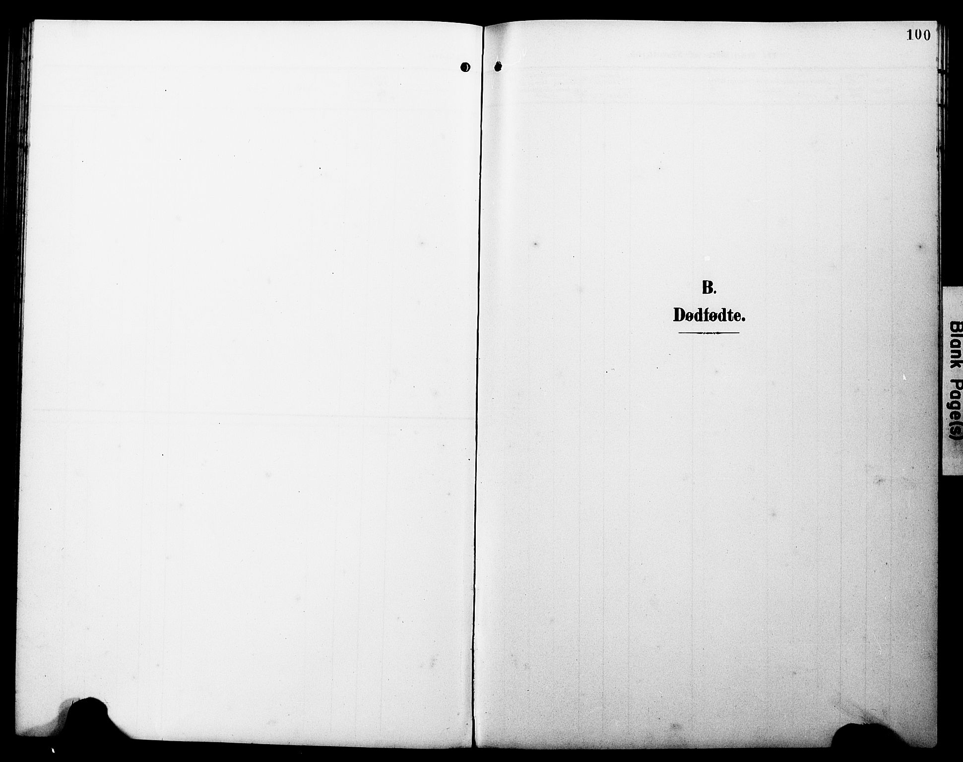 Ministerialprotokoller, klokkerbøker og fødselsregistre - Møre og Romsdal, AV/SAT-A-1454/538/L0524: Parish register (copy) no. 538C02, 1901-1931, p. 100