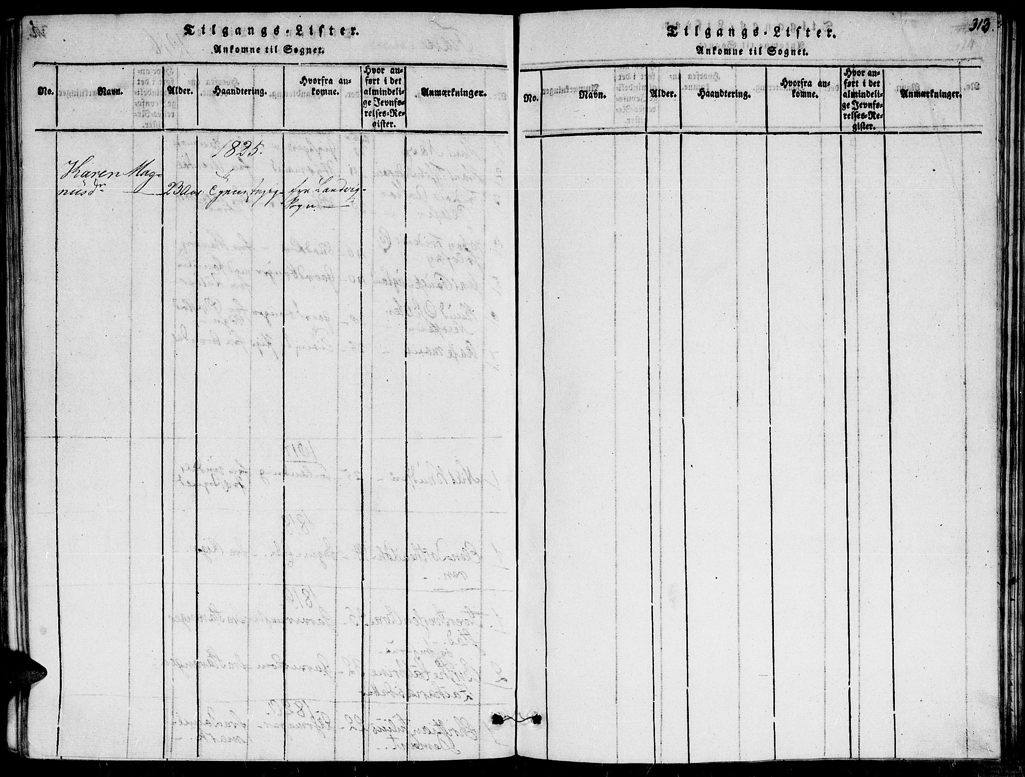 Fjære sokneprestkontor, SAK/1111-0011/F/Fa/L0001: Parish register (official) no. A 1 /1, 1816-1826, p. 313
