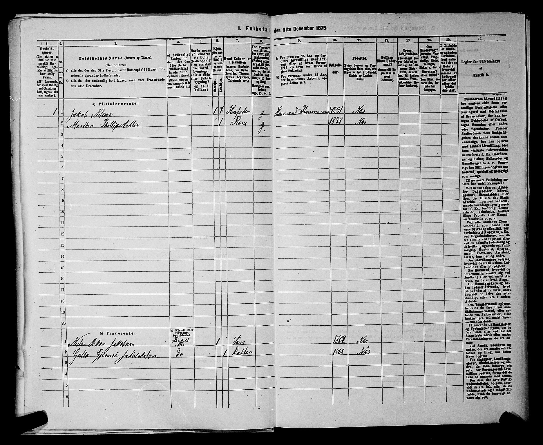 RA, 1875 census for 0236P Nes, 1875, p. 879