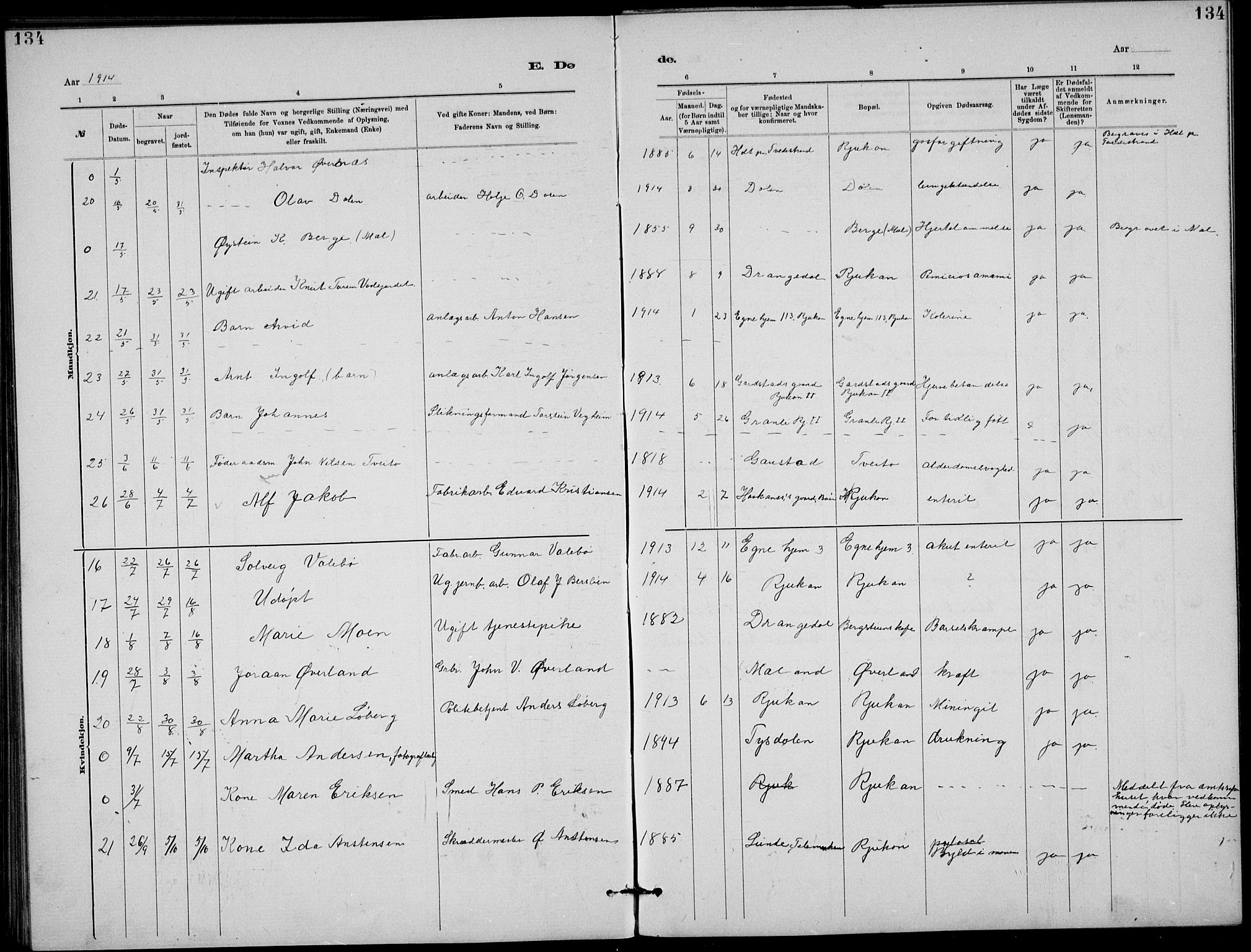 Rjukan kirkebøker, AV/SAKO-A-294/G/Ga/L0001: Parish register (copy) no. 1, 1880-1914, p. 134