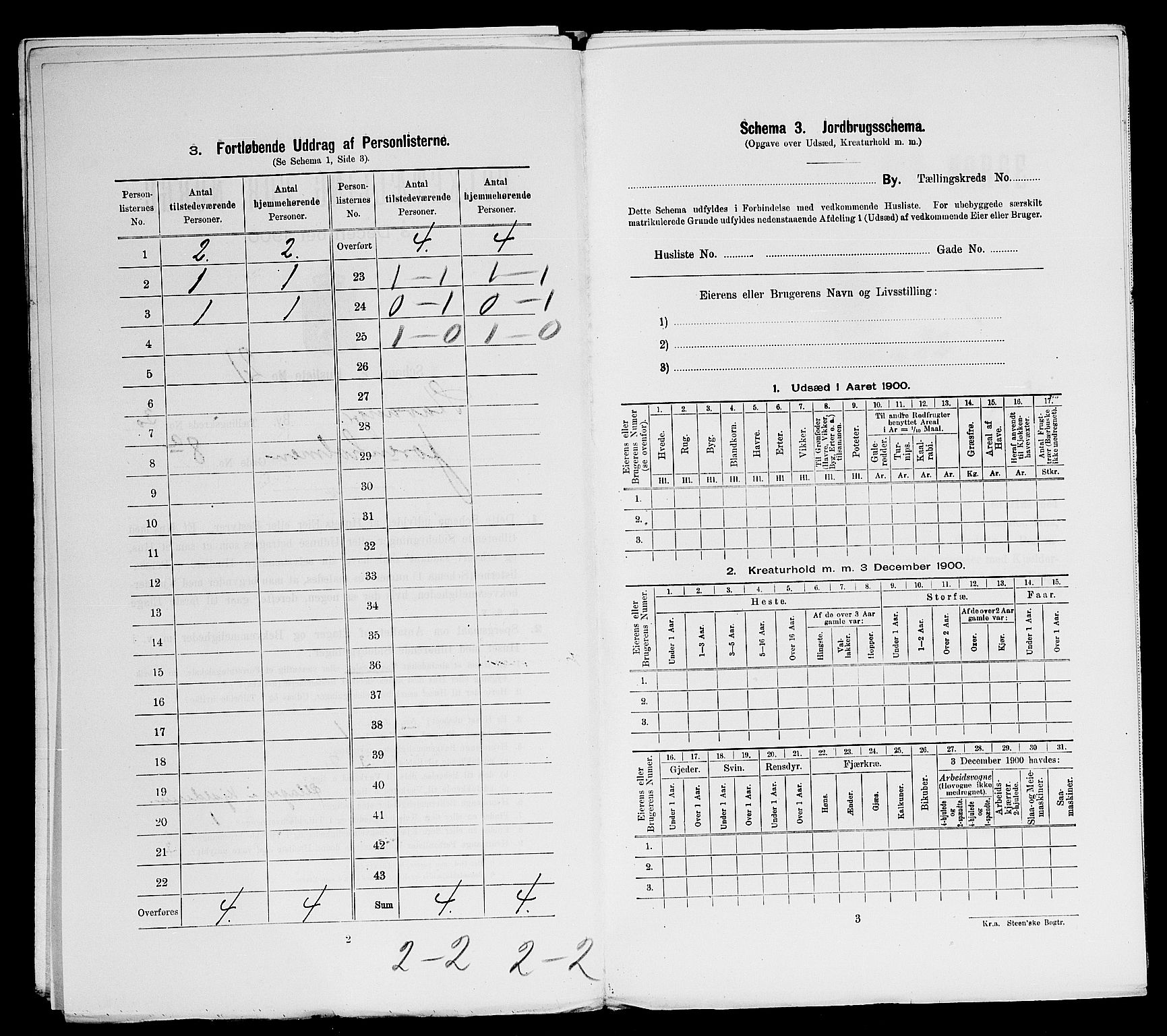 SAST, 1900 census for Stavanger, 1900, p. 11245