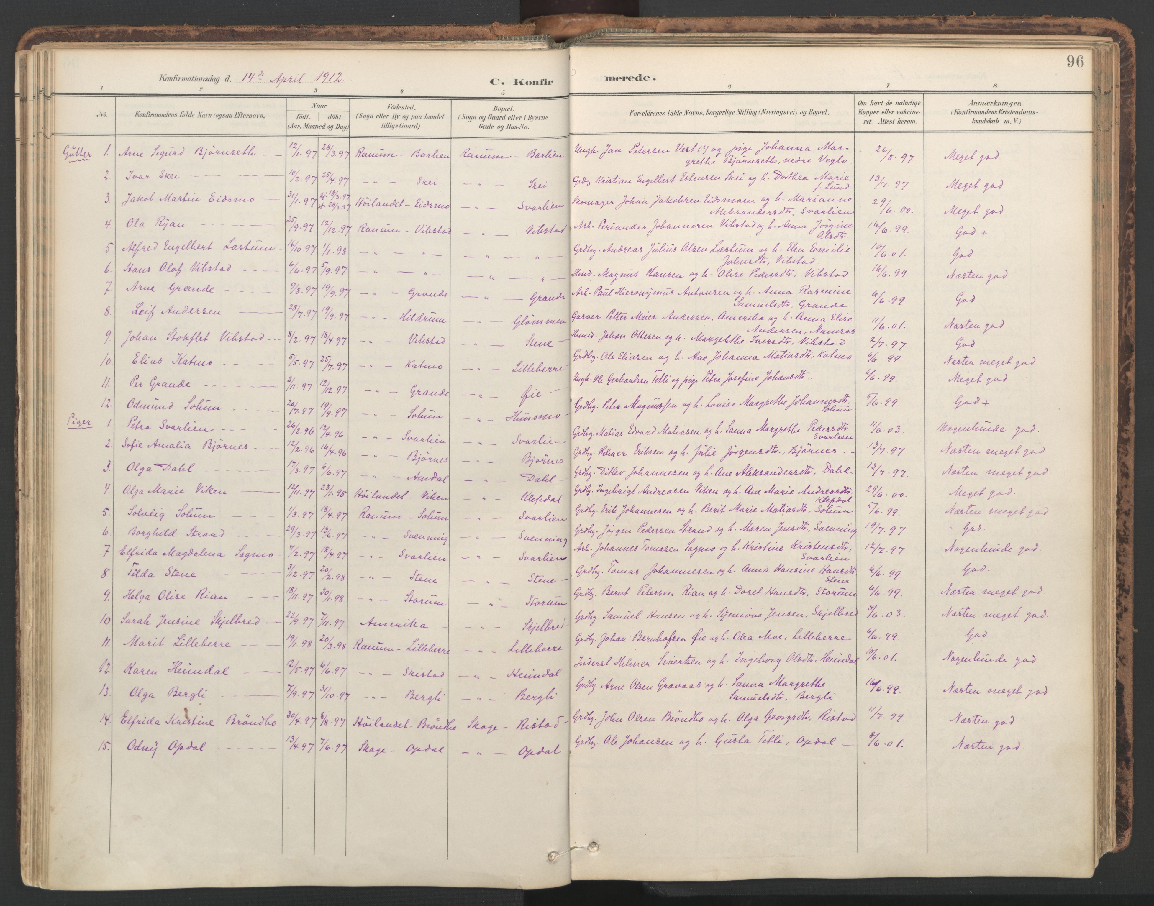 Ministerialprotokoller, klokkerbøker og fødselsregistre - Nord-Trøndelag, SAT/A-1458/764/L0556: Parish register (official) no. 764A11, 1897-1924, p. 96