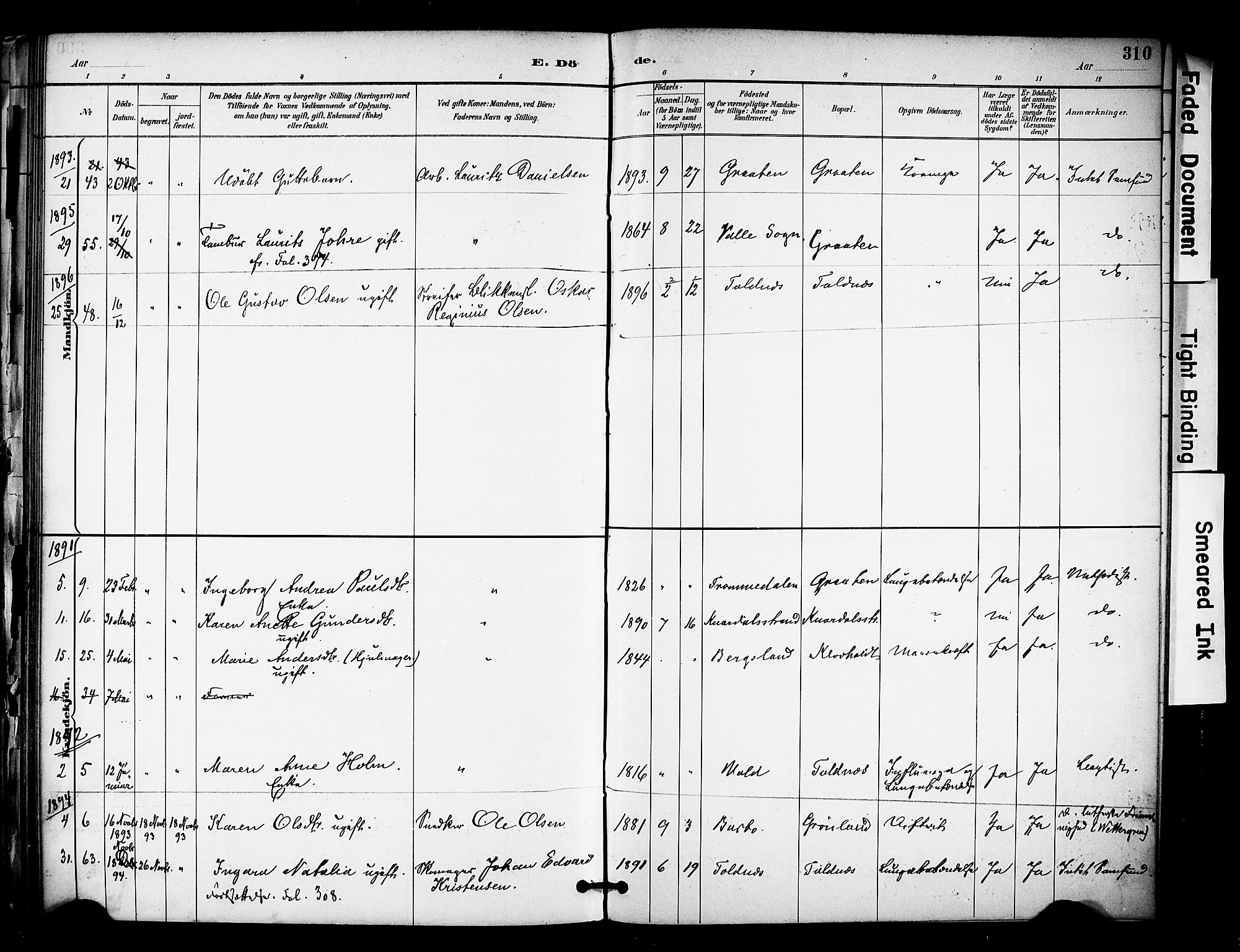 Solum kirkebøker, SAKO/A-306/F/Fa/L0010: Parish register (official) no. I 10, 1888-1898, p. 310