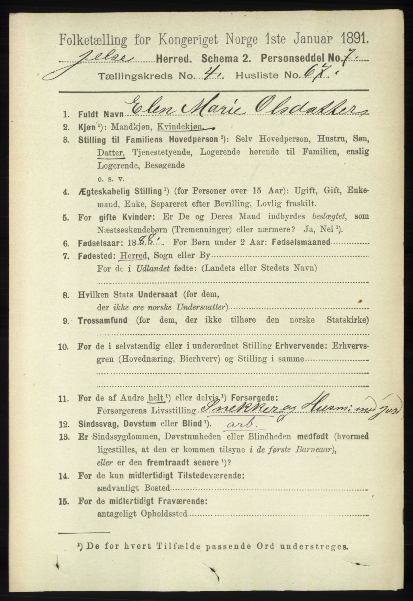 RA, 1891 census for 1138 Jelsa, 1891, p. 1030