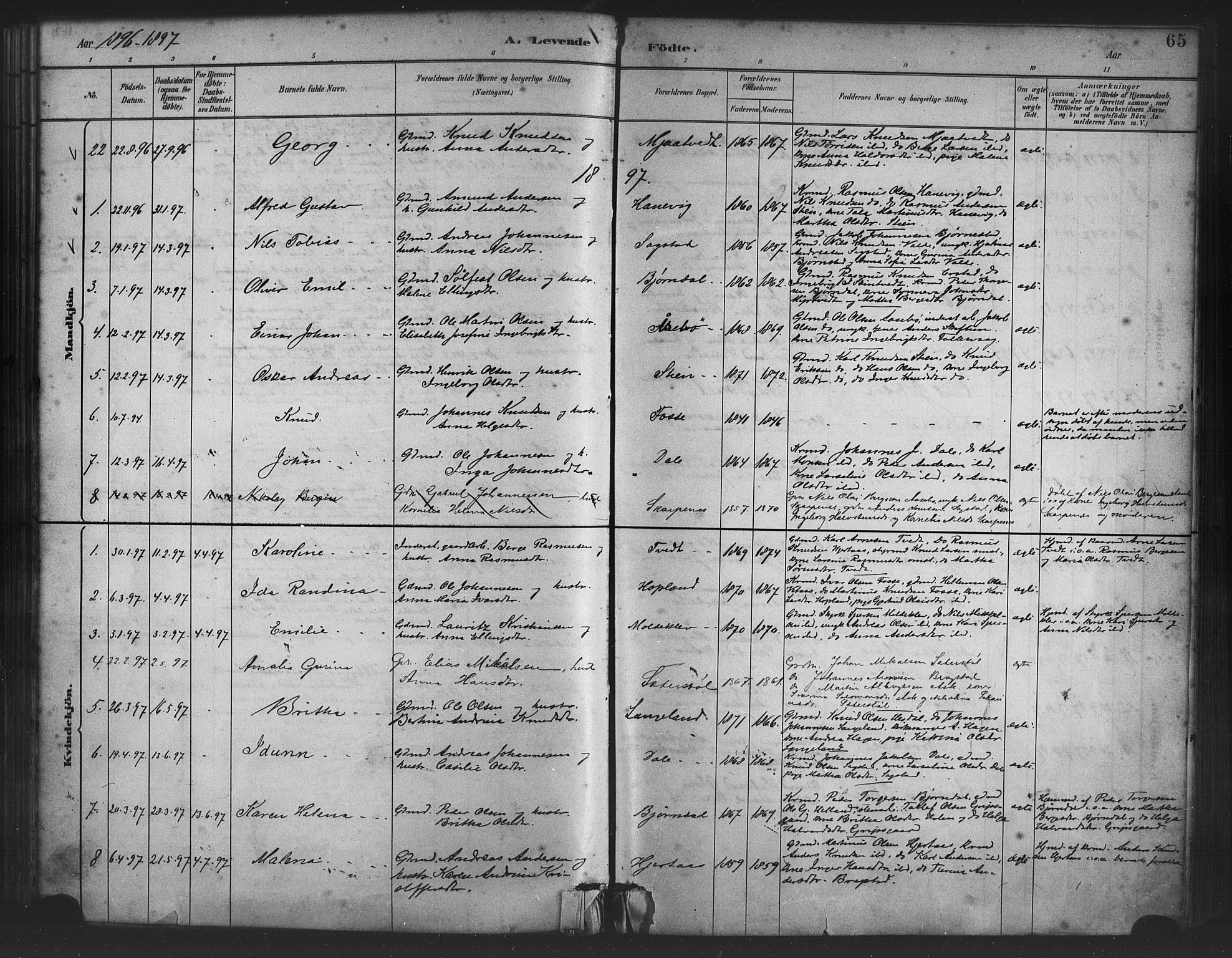 Alversund Sokneprestembete, SAB/A-73901/H/Ha/Haa/Haac/L0001: Parish register (official) no. C 1, 1882-1900, p. 65