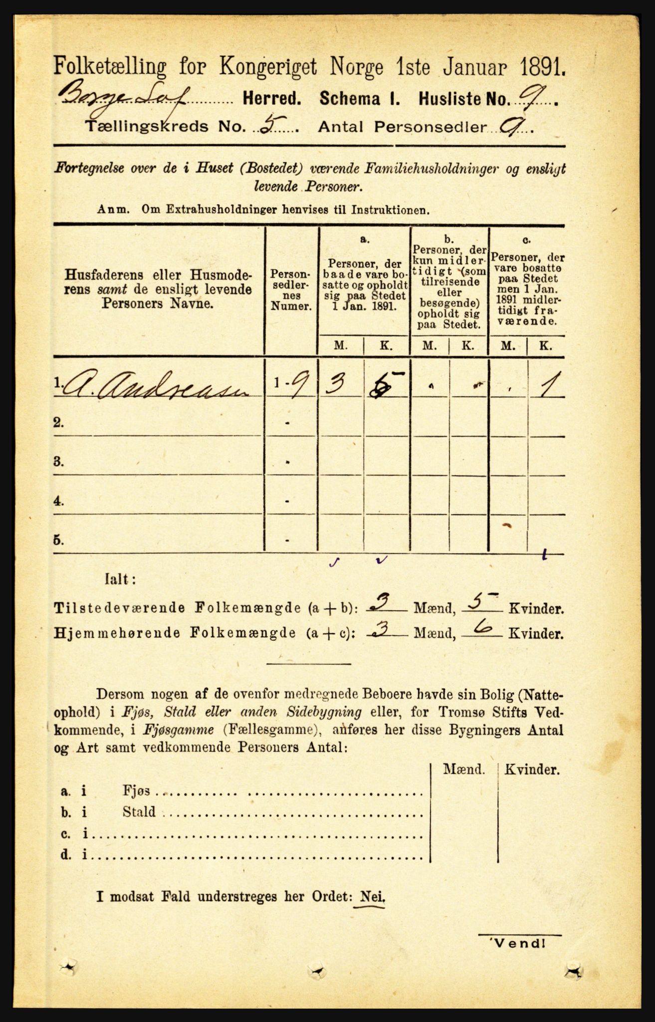 RA, 1891 census for 1862 Borge, 1891, p. 2953