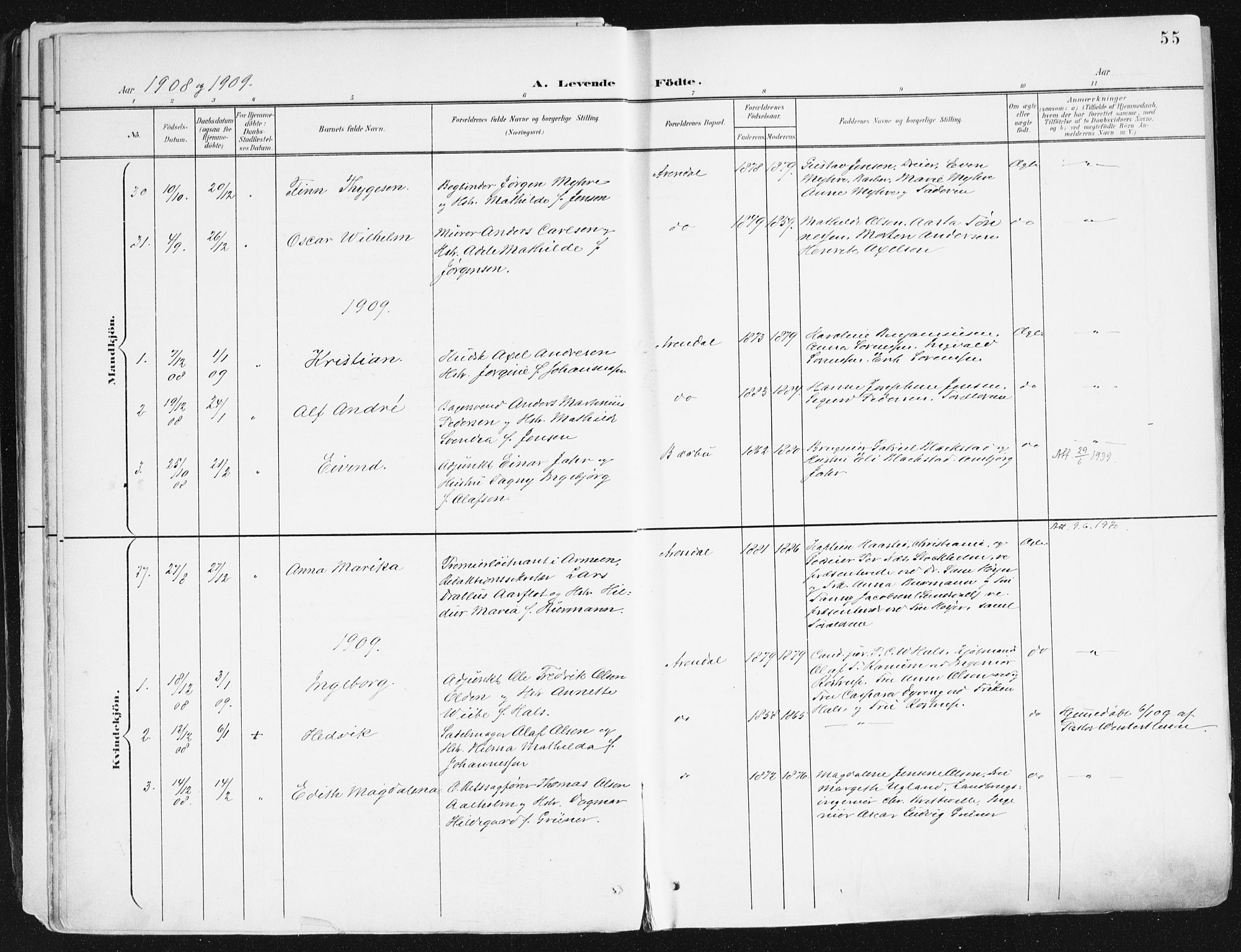 Arendal sokneprestkontor, Trefoldighet, SAK/1111-0040/F/Fa/L0010: Parish register (official) no. A 10, 1900-1919, p. 55