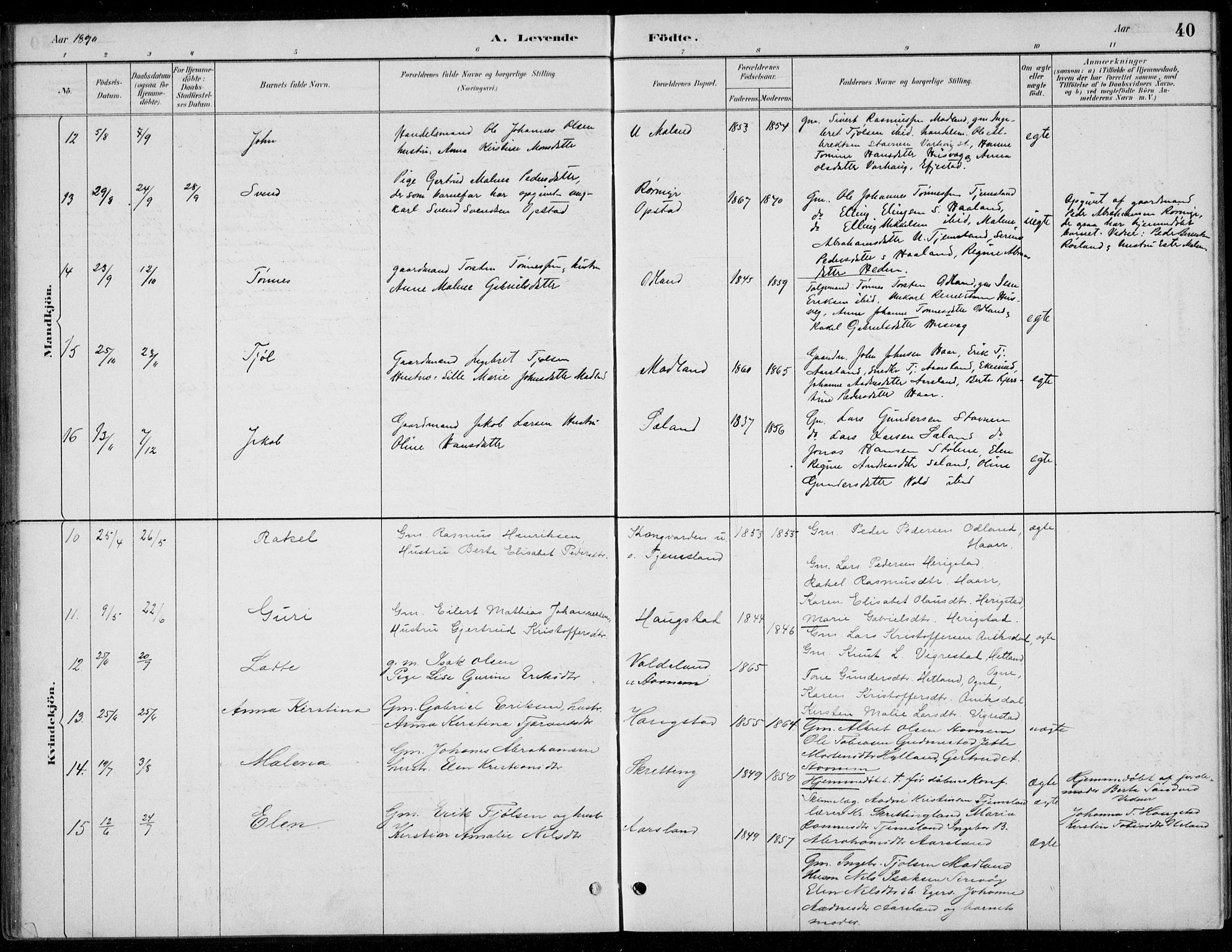 Hå sokneprestkontor, AV/SAST-A-101801/001/30BB/L0004: Parish register (copy) no. B 4, 1883-1899, p. 40