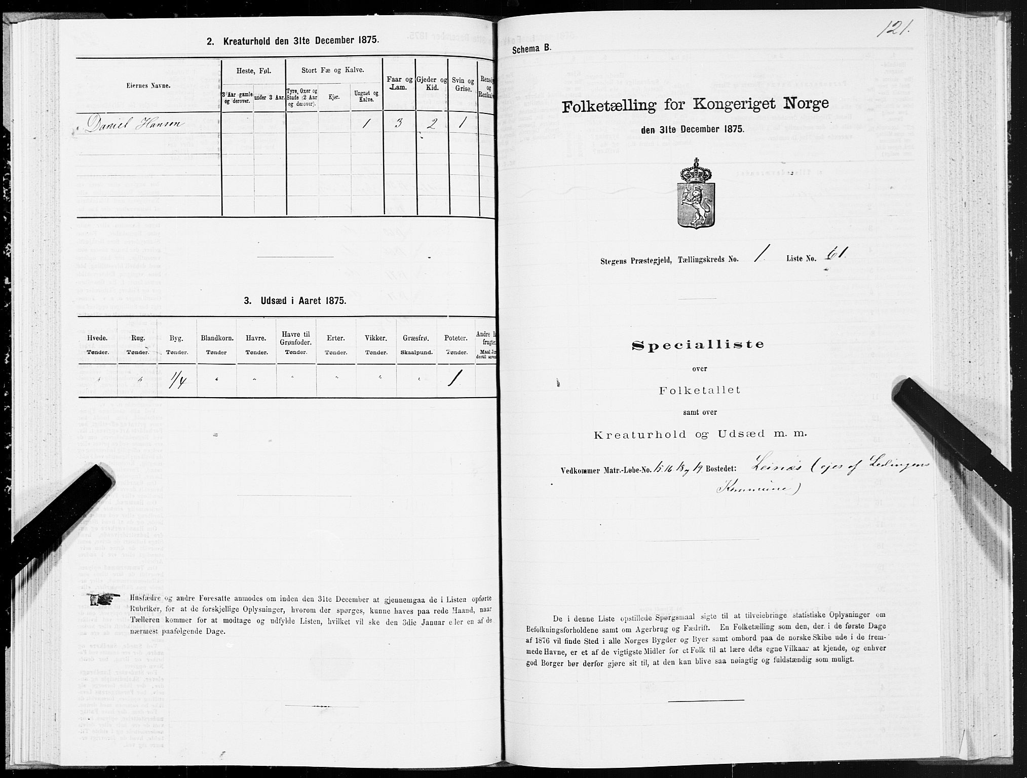 SAT, 1875 census for 1848P Steigen, 1875, p. 1121