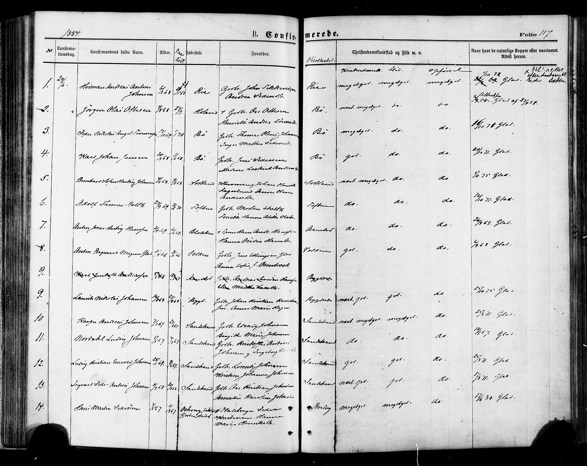 Ministerialprotokoller, klokkerbøker og fødselsregistre - Nordland, AV/SAT-A-1459/895/L1370: Parish register (official) no. 895A05, 1873-1884, p. 117