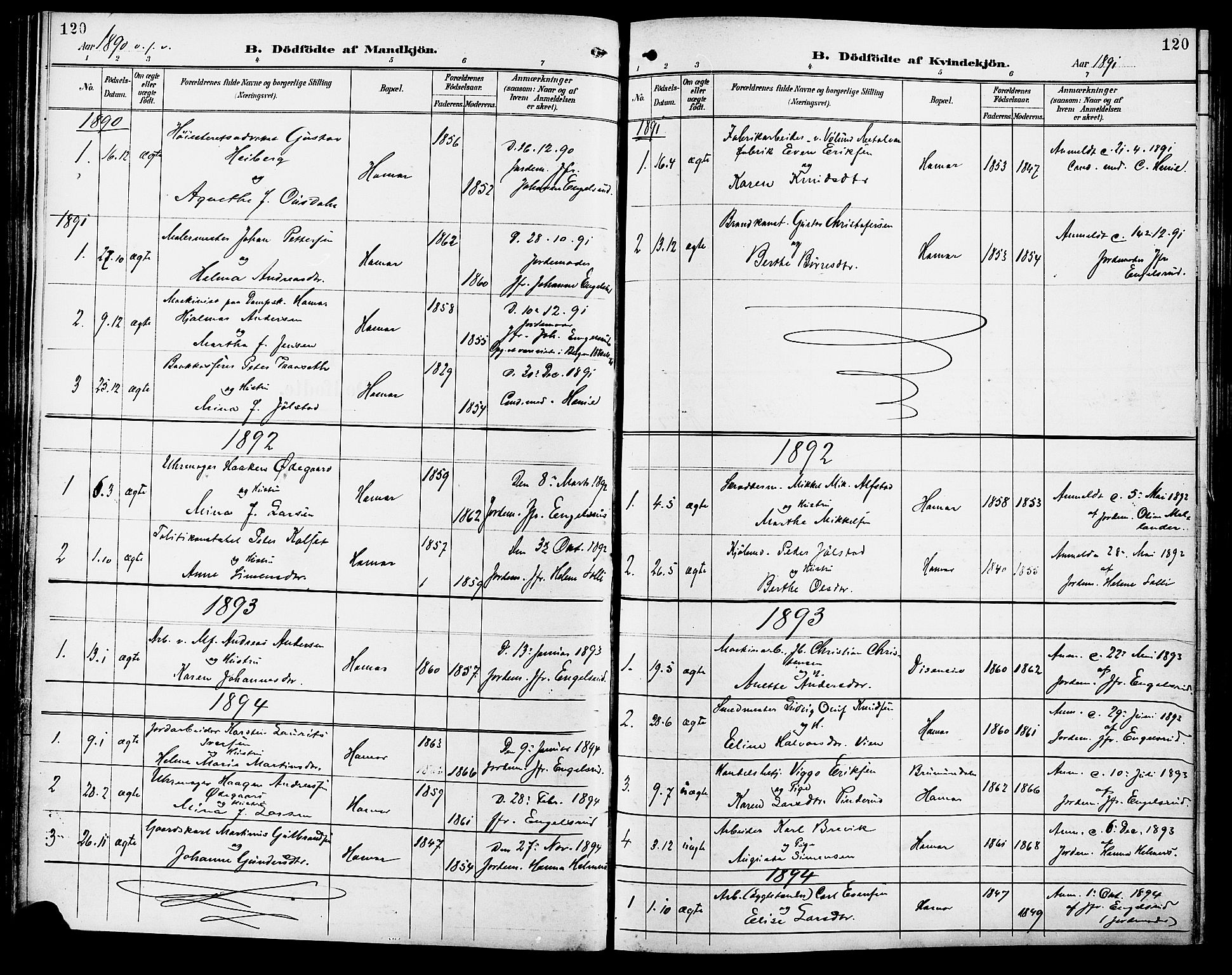 Vang prestekontor, Hedmark, AV/SAH-PREST-008/H/Ha/Haa/L0017: Parish register (official) no. 17, 1890-1899, p. 120