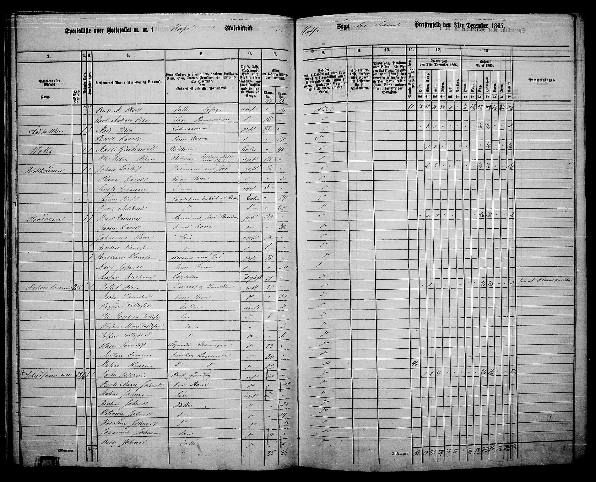 RA, 1865 census for Land, 1865, p. 321