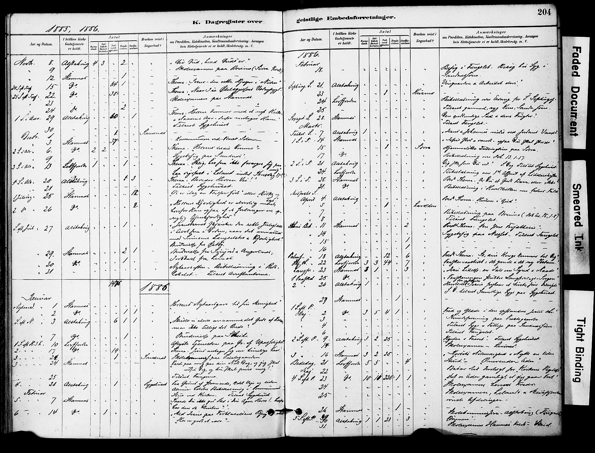 Ministerialprotokoller, klokkerbøker og fødselsregistre - Nordland, AV/SAT-A-1459/830/L0450: Parish register (official) no. 830A14, 1879-1896, p. 204