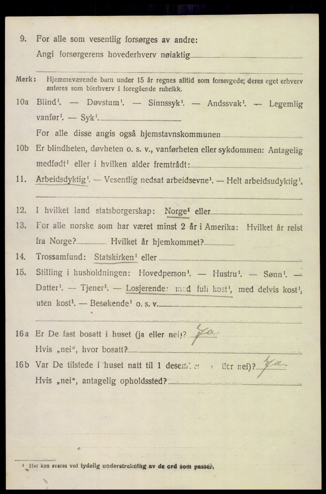 SAK, 1920 census for Hornnes, 1920, p. 1554