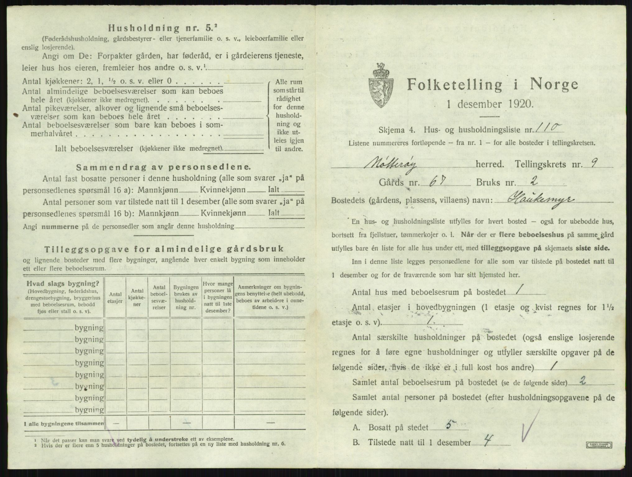 SAKO, 1920 census for Nøtterøy, 1920, p. 1956