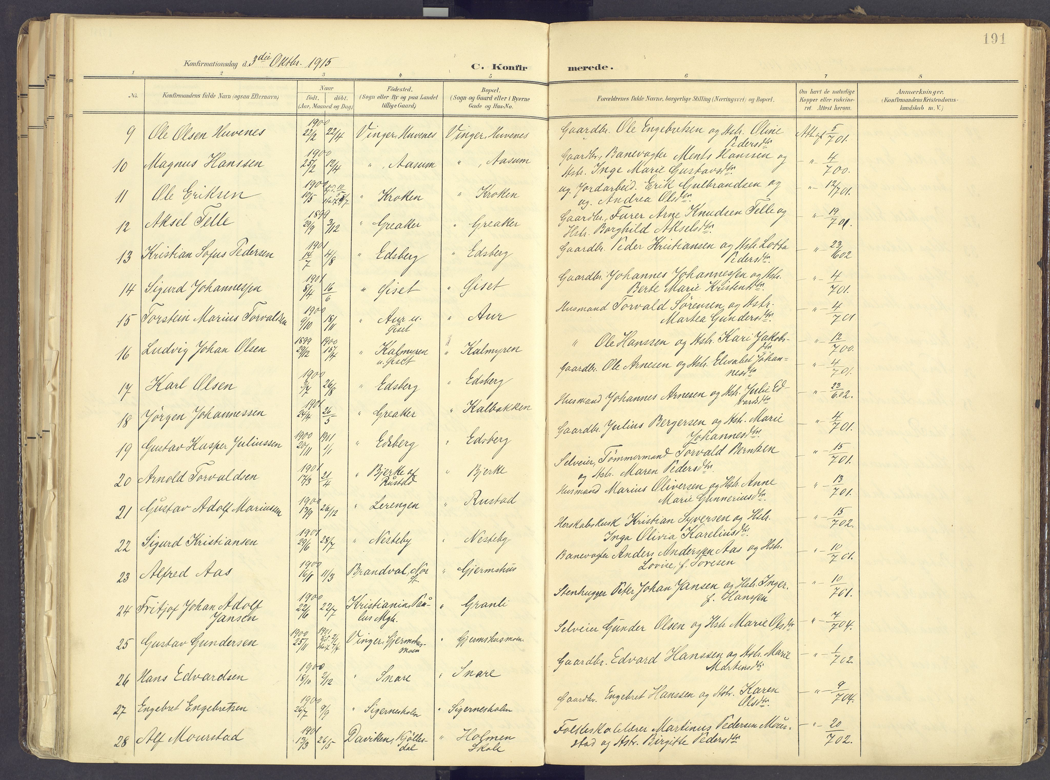 Vinger prestekontor, AV/SAH-PREST-024/H/Ha/Haa/L0017: Parish register (official) no. 17, 1901-1927, p. 191