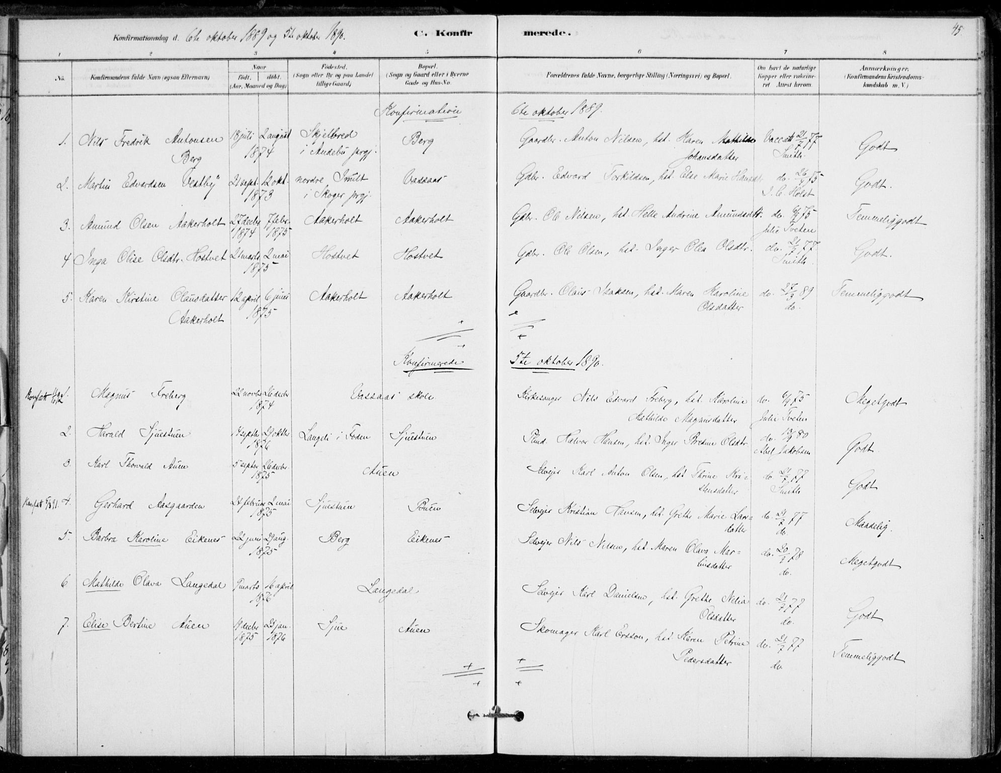 Hof kirkebøker, AV/SAKO-A-64/F/Fb/L0001: Parish register (official) no. II 1, 1878-1907, p. 45