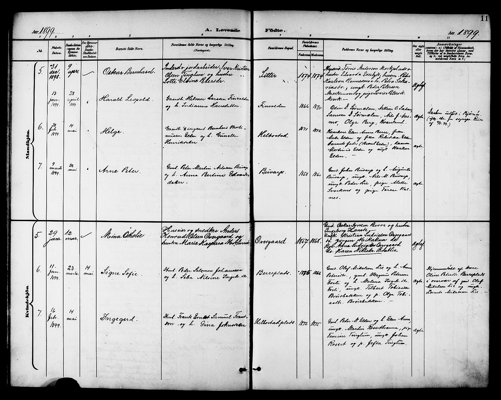 Ministerialprotokoller, klokkerbøker og fødselsregistre - Nord-Trøndelag, AV/SAT-A-1458/742/L0412: Parish register (copy) no. 742C03, 1898-1910, p. 11